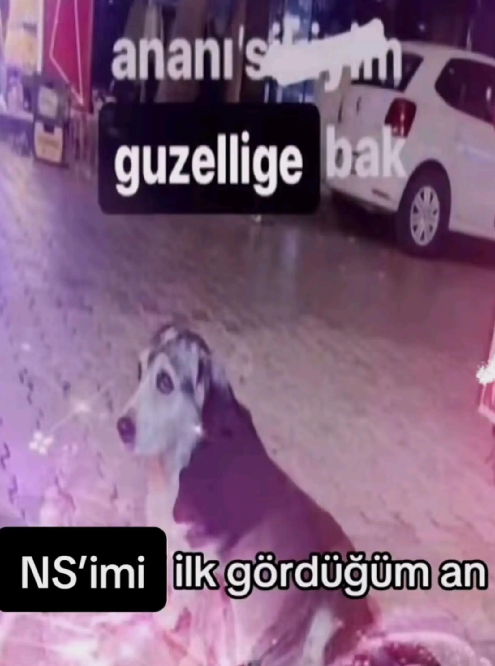 @b.denizözdemir