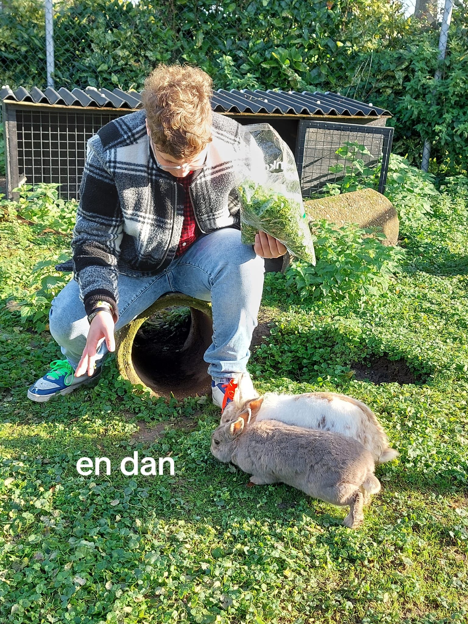@lolxx