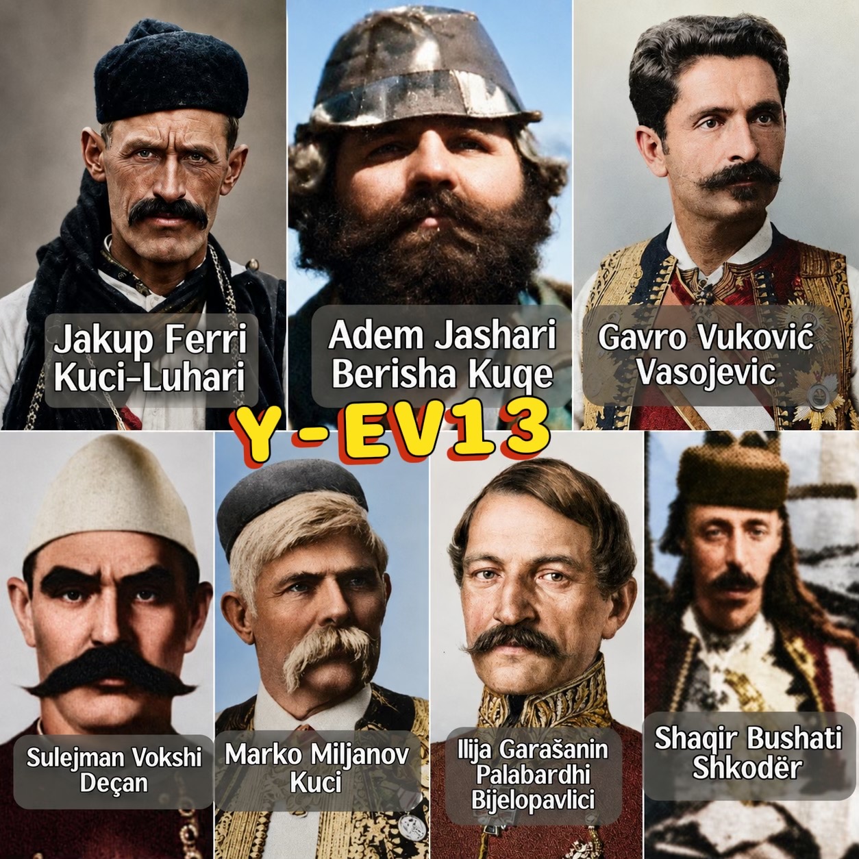 @Albanian Kuçi
