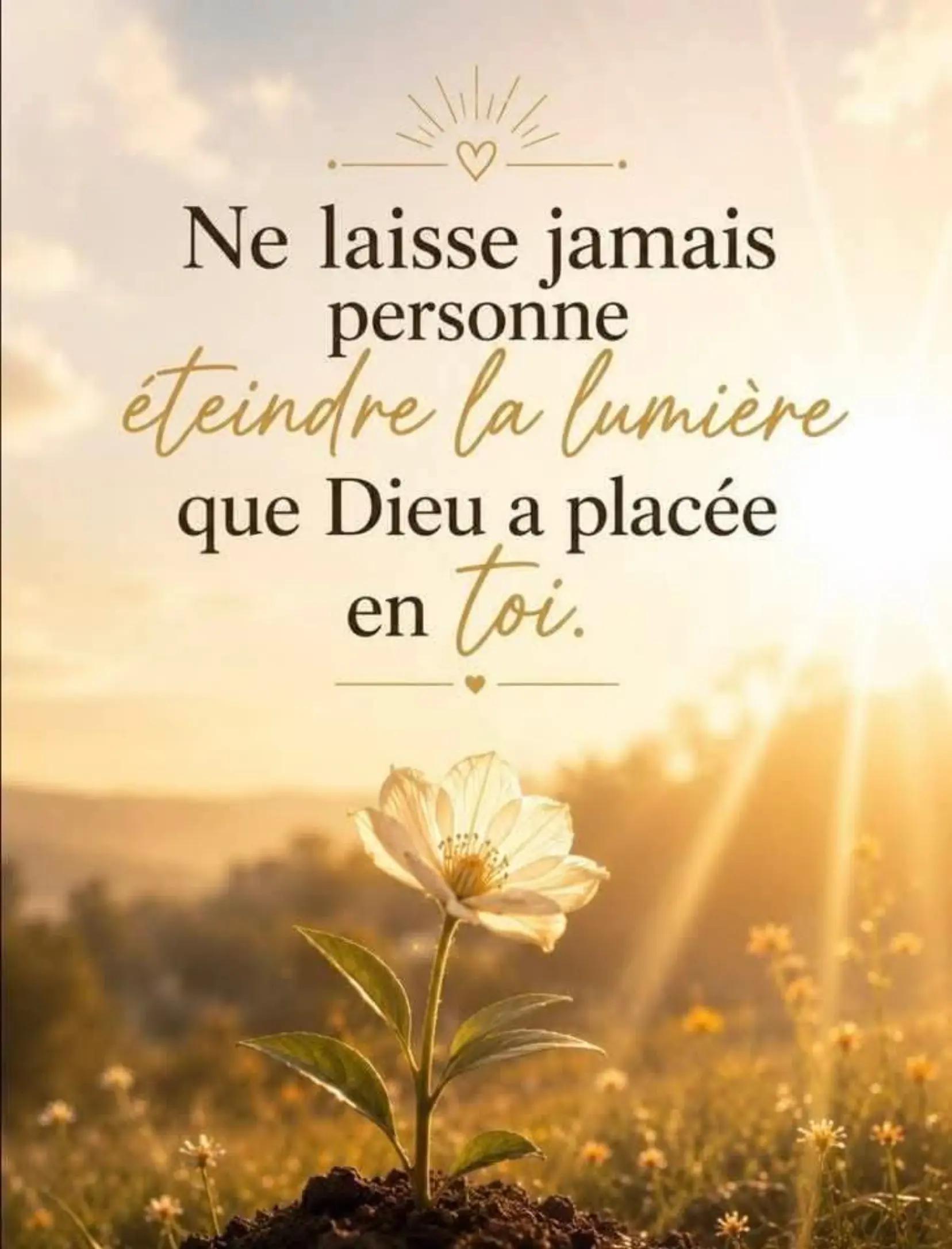 @avis&conseils