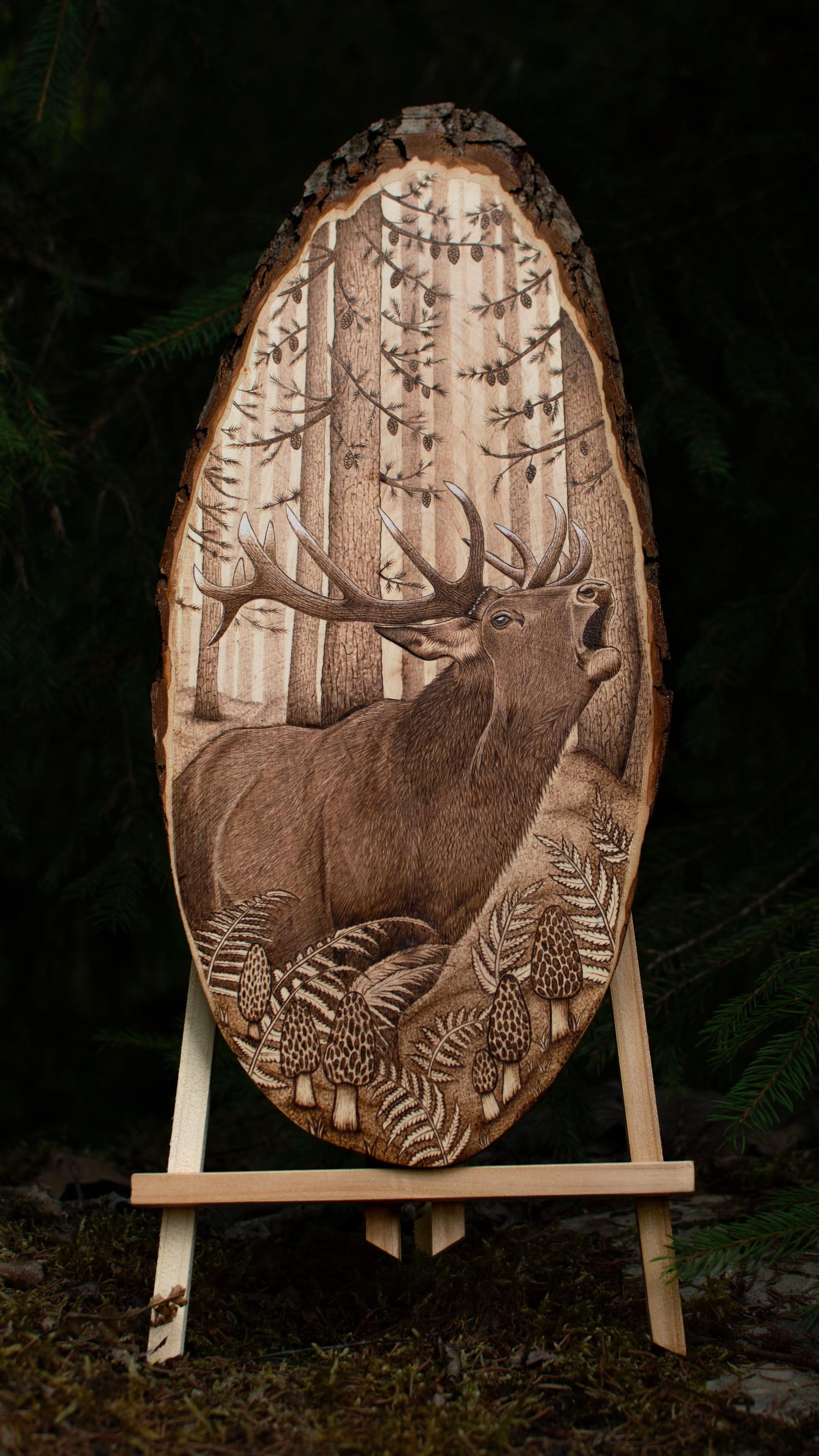 @SoWoodBurning