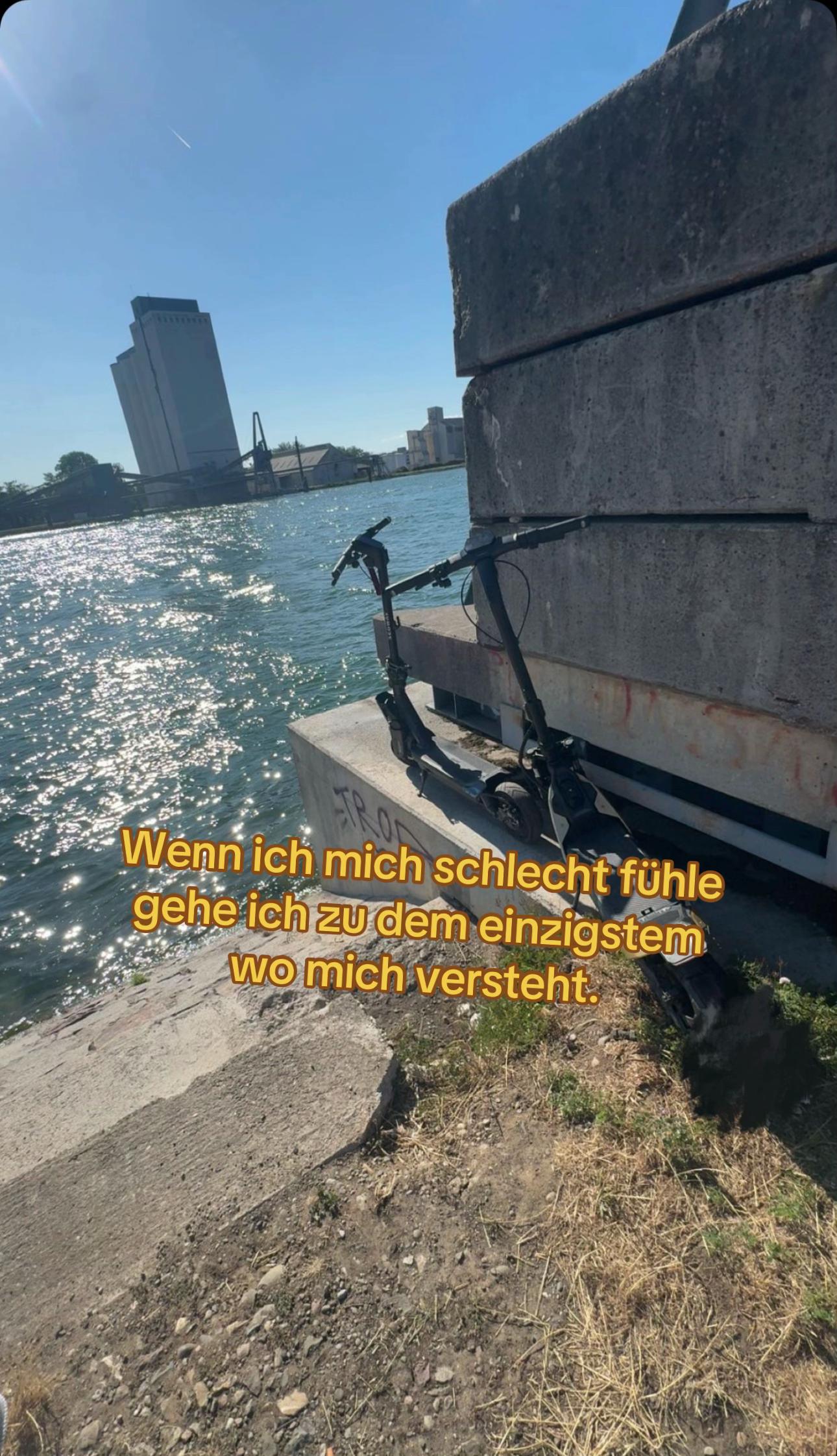 @💫ʀɪᴊᴀᴅ🌴