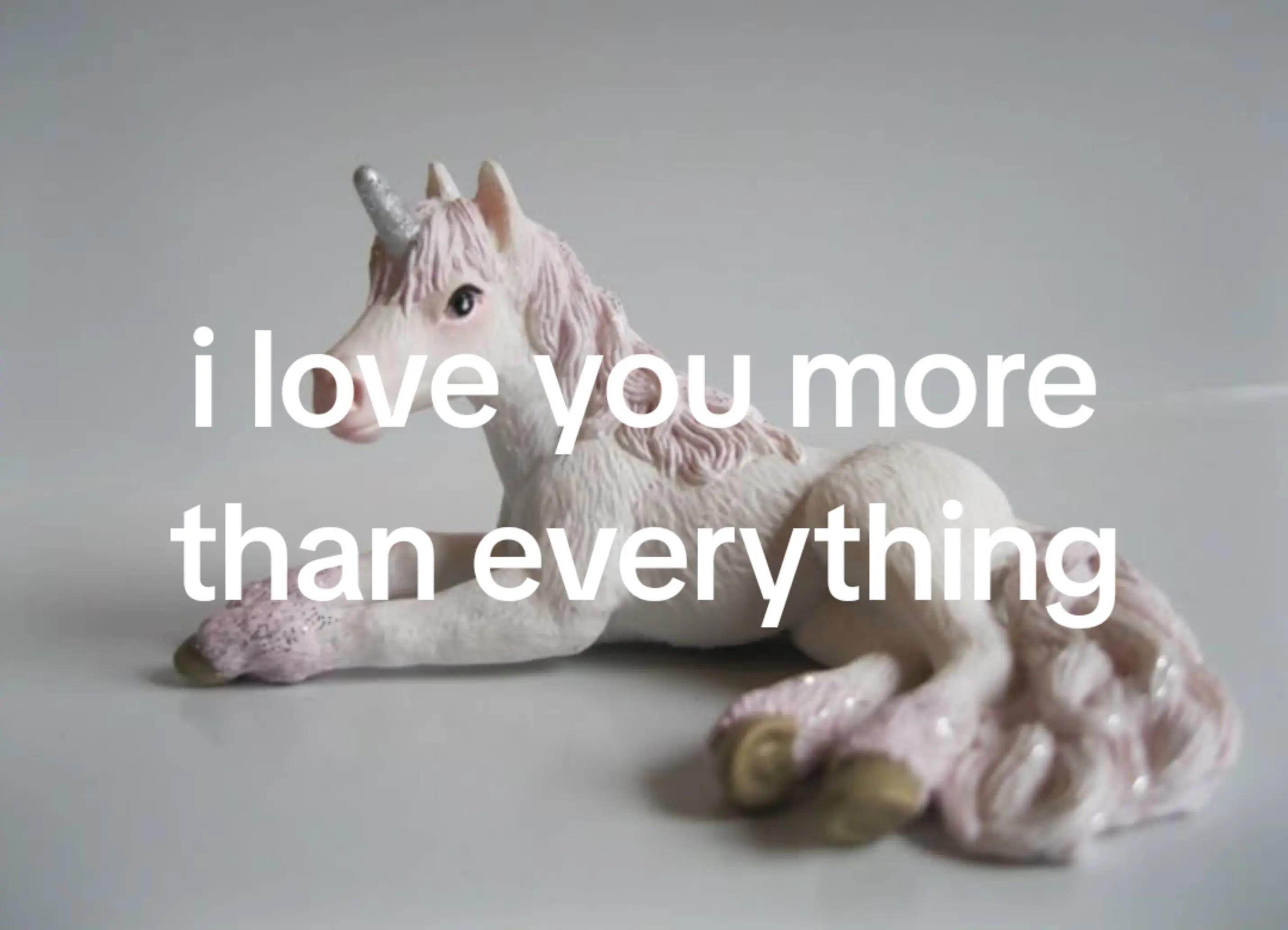 @bunny