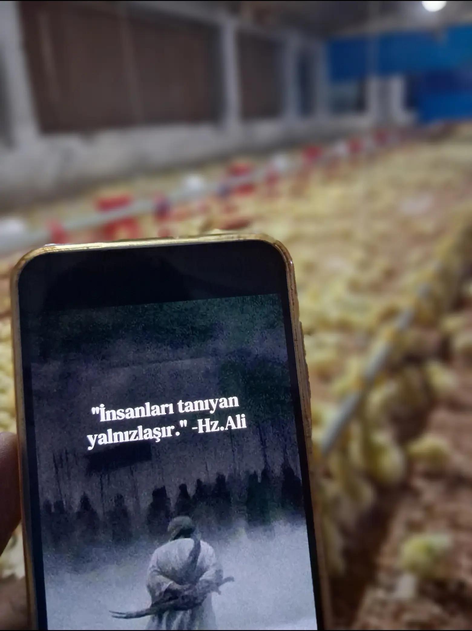 @musti.𝟑𝟑