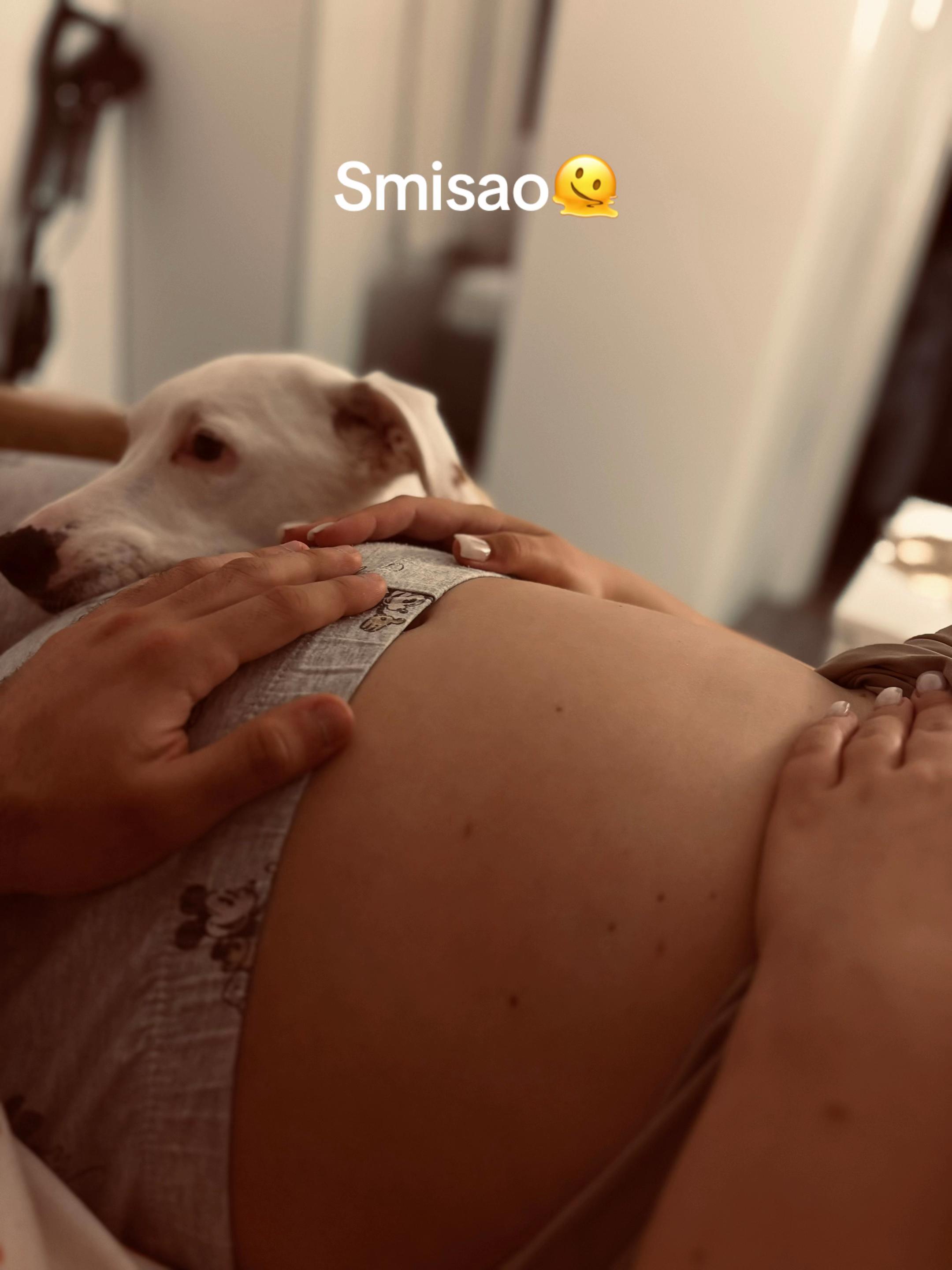 @dunjanosovicc