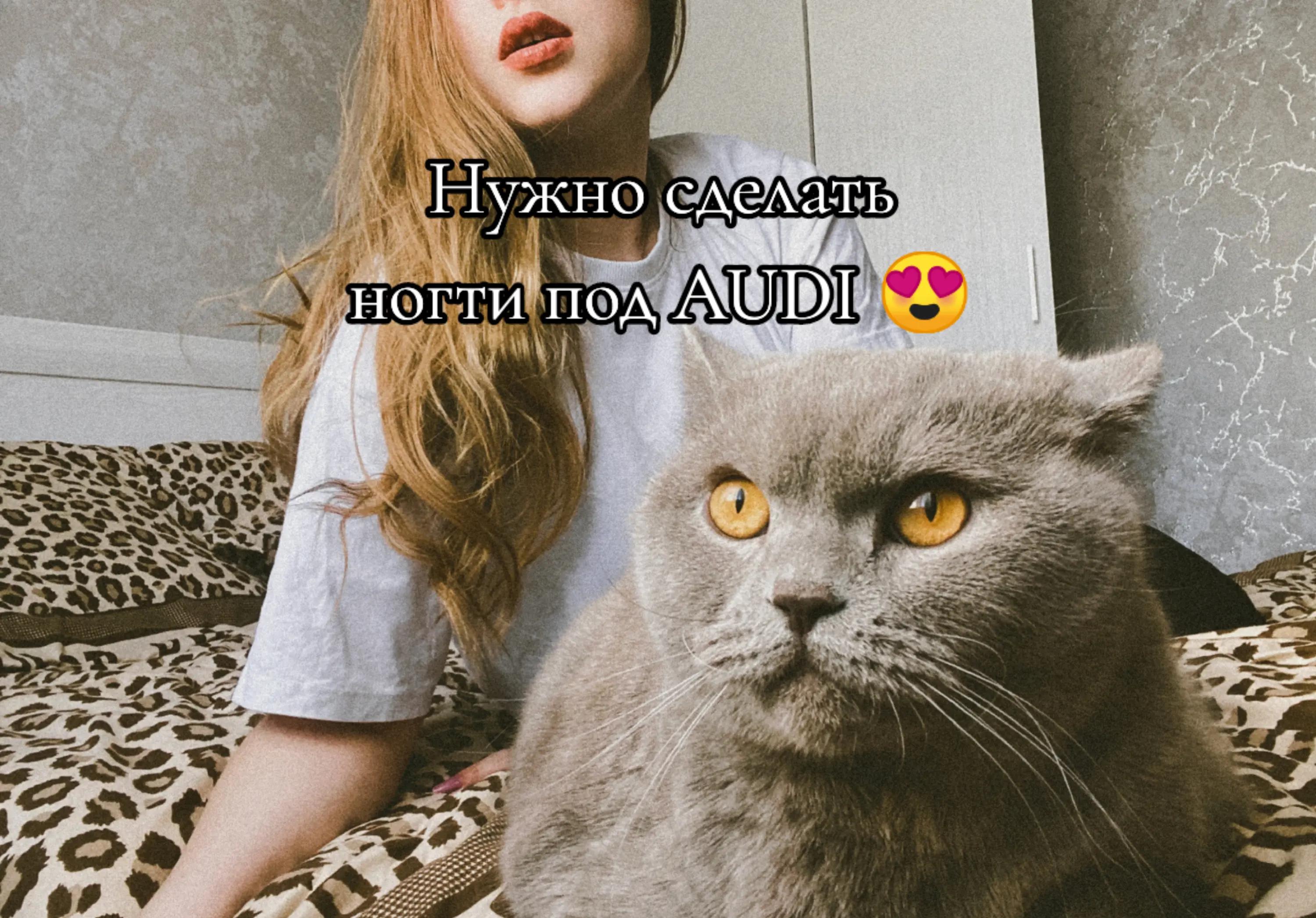 @любительница Audi ❤️