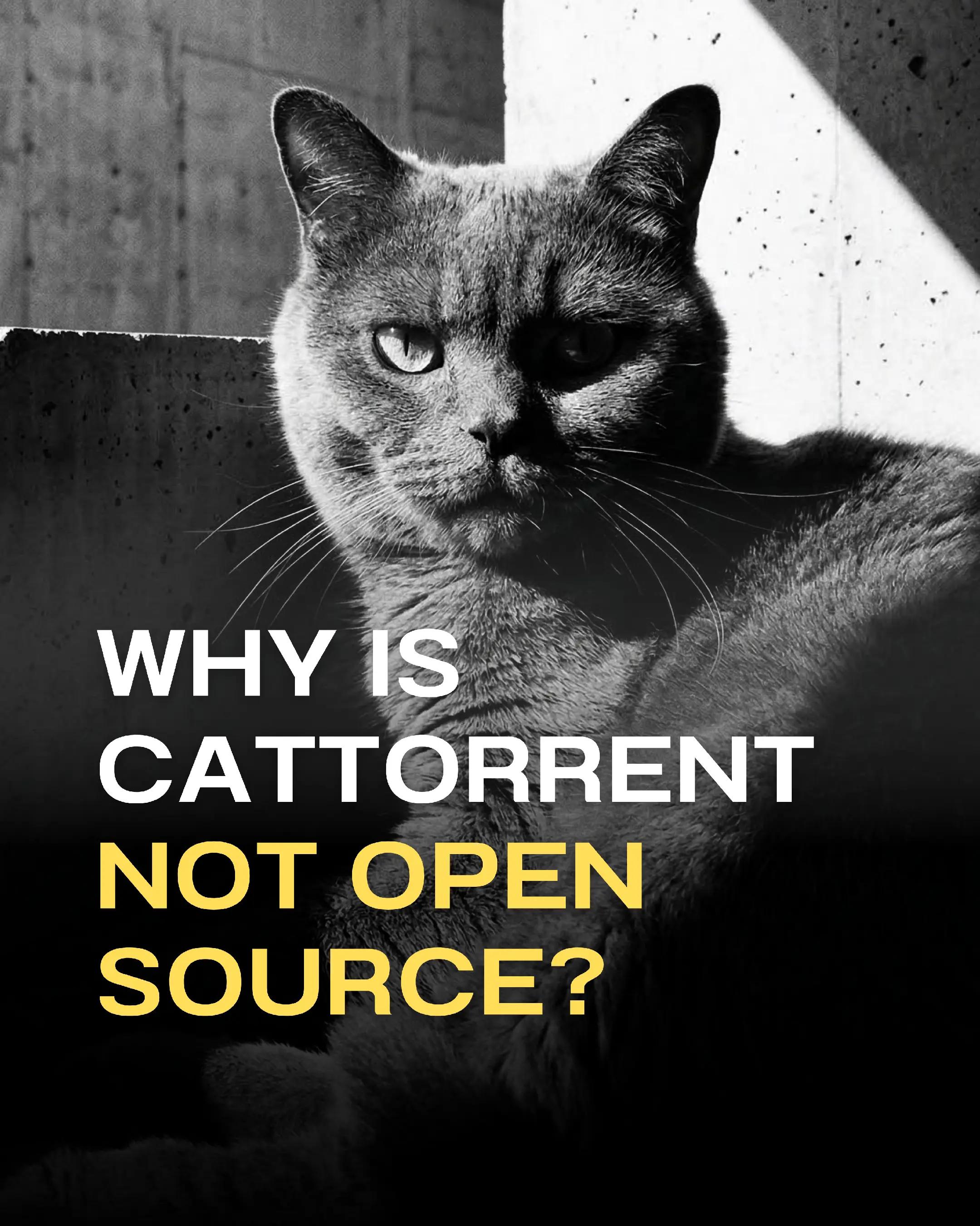 @CatTorrent