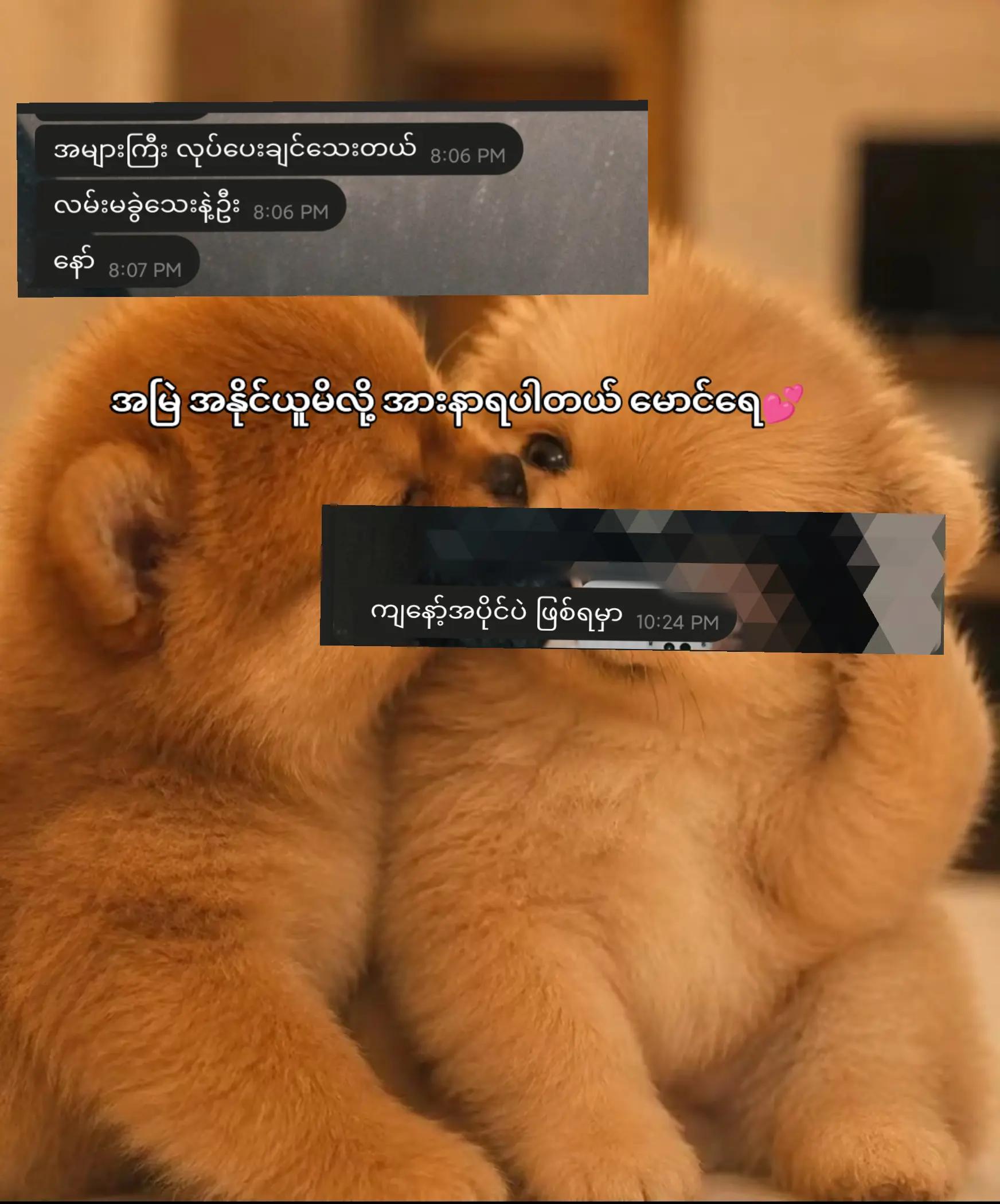 @16.2 đ