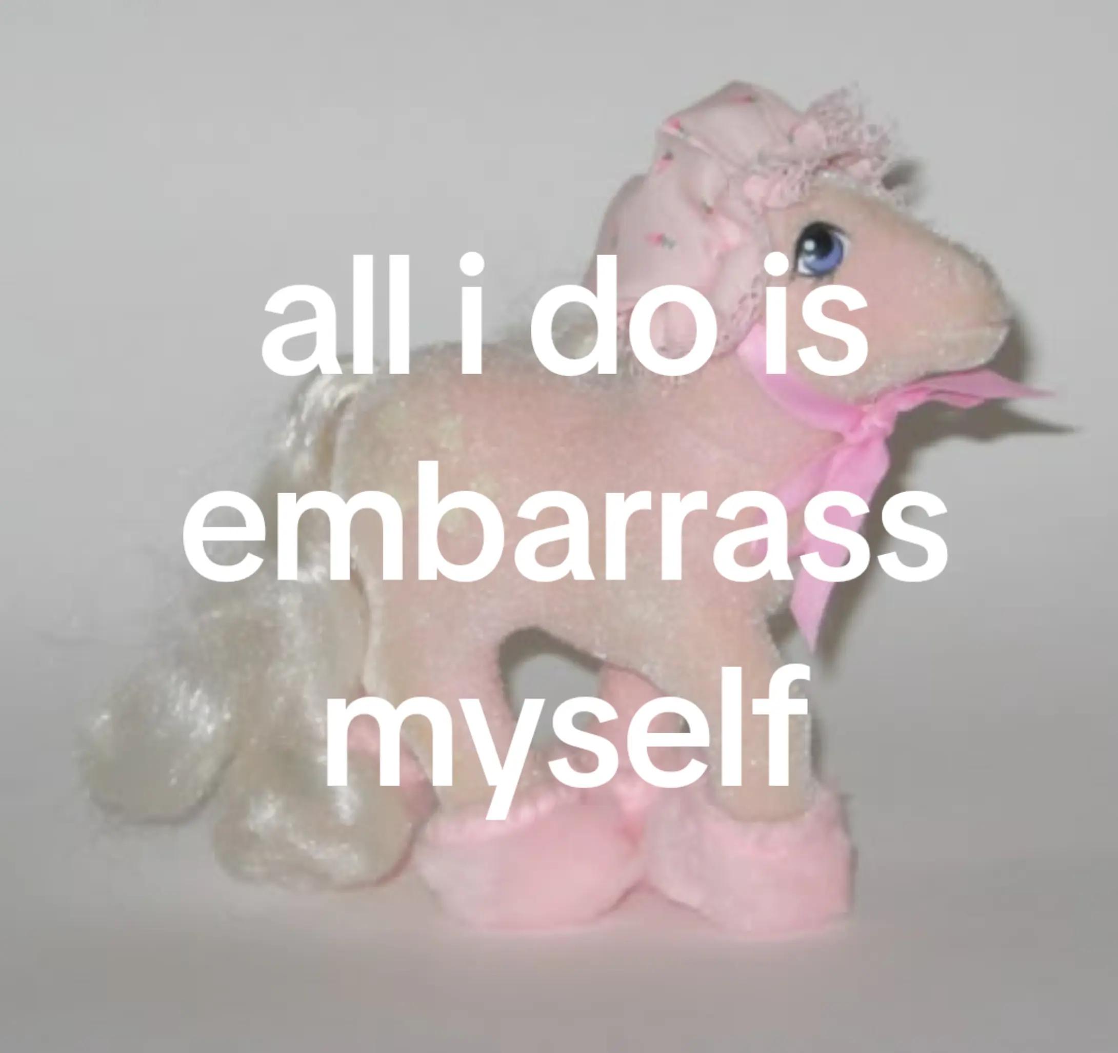 @bunny