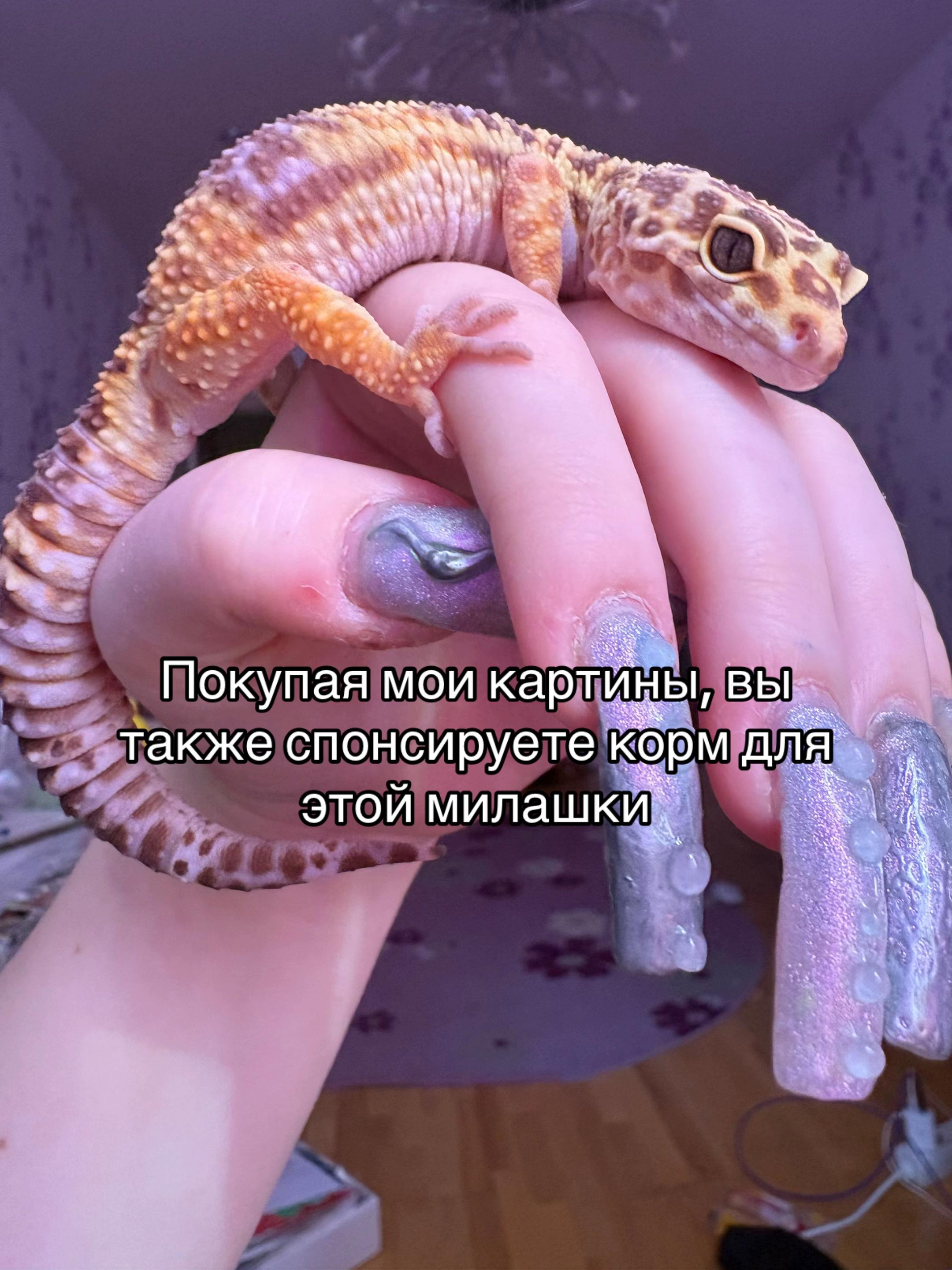 @Тгк: Sindy ail