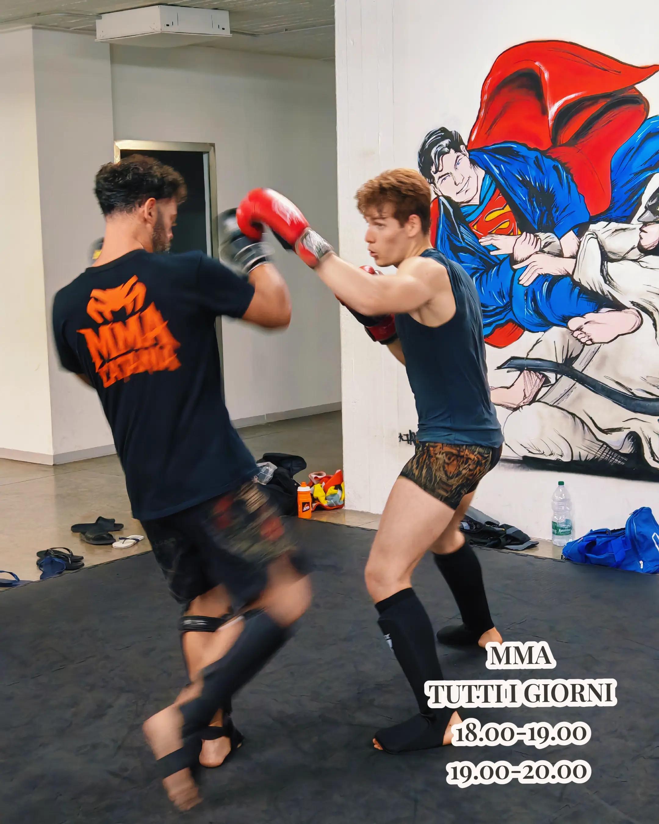 @MMA CATANIA