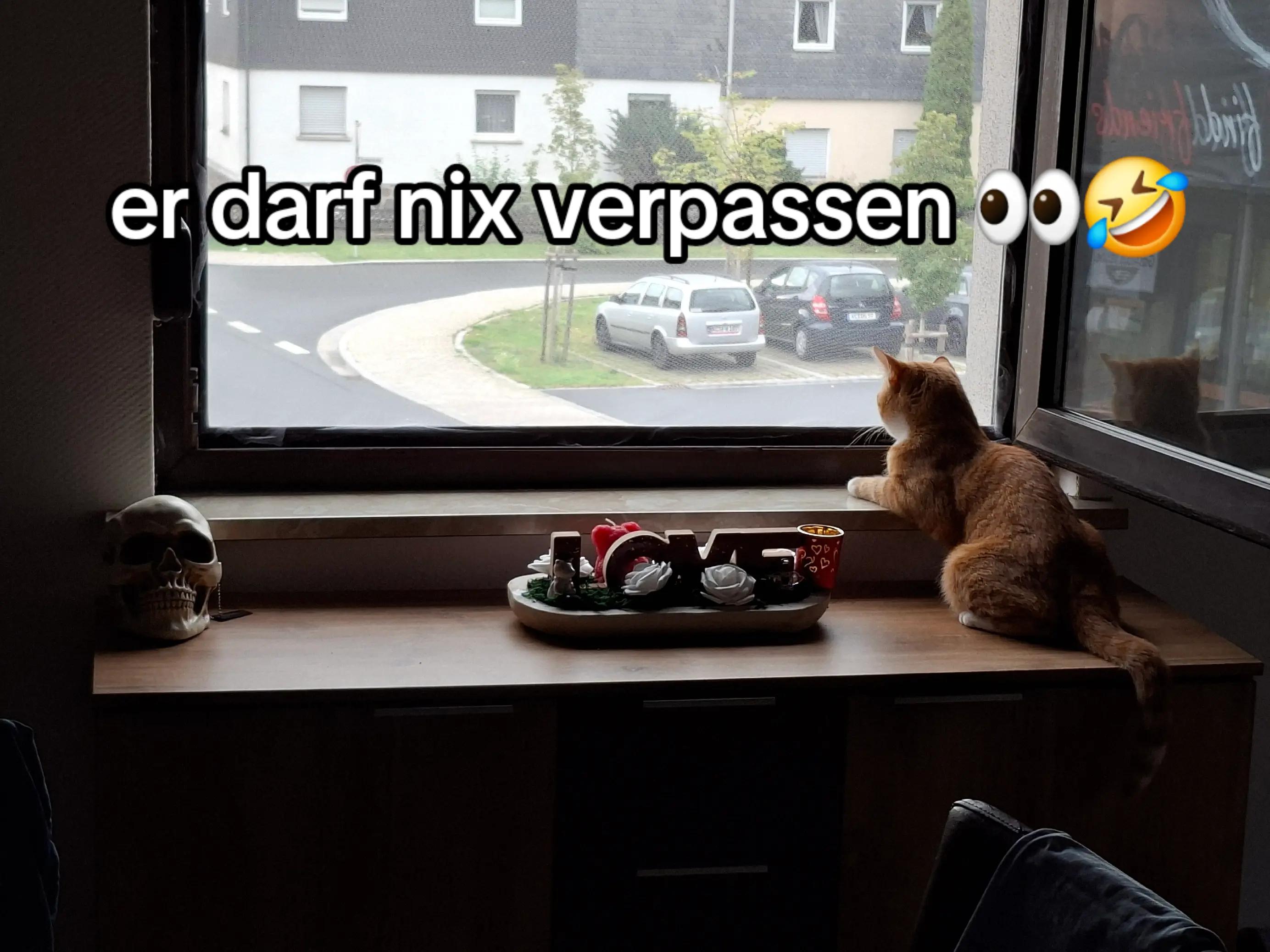 @🪣🧽 Reinigungsservice Weiß
