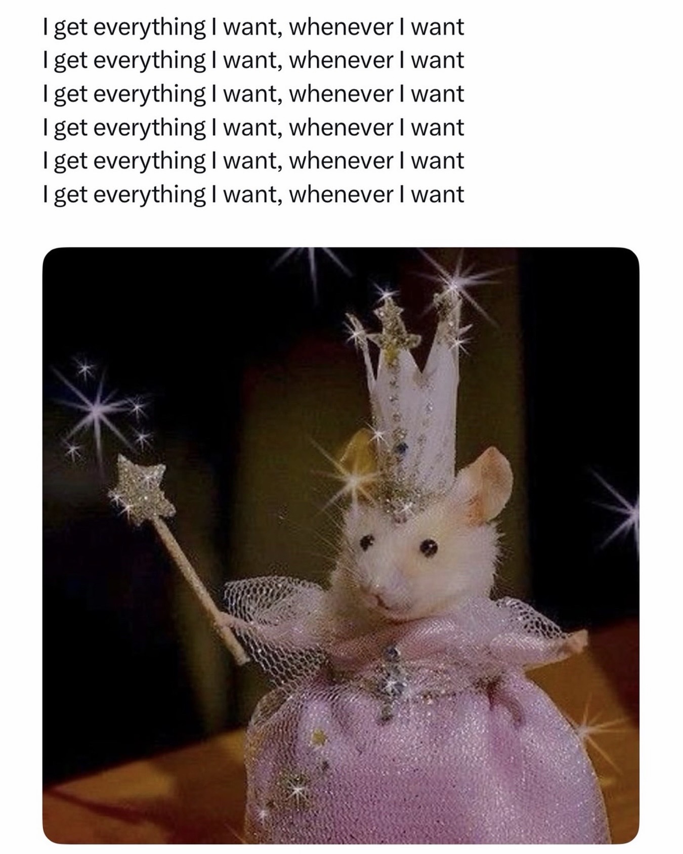 @females