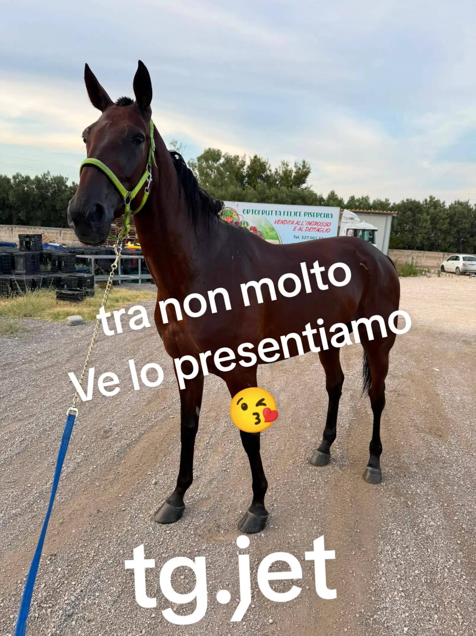 @ale_kekko_piserchia_28