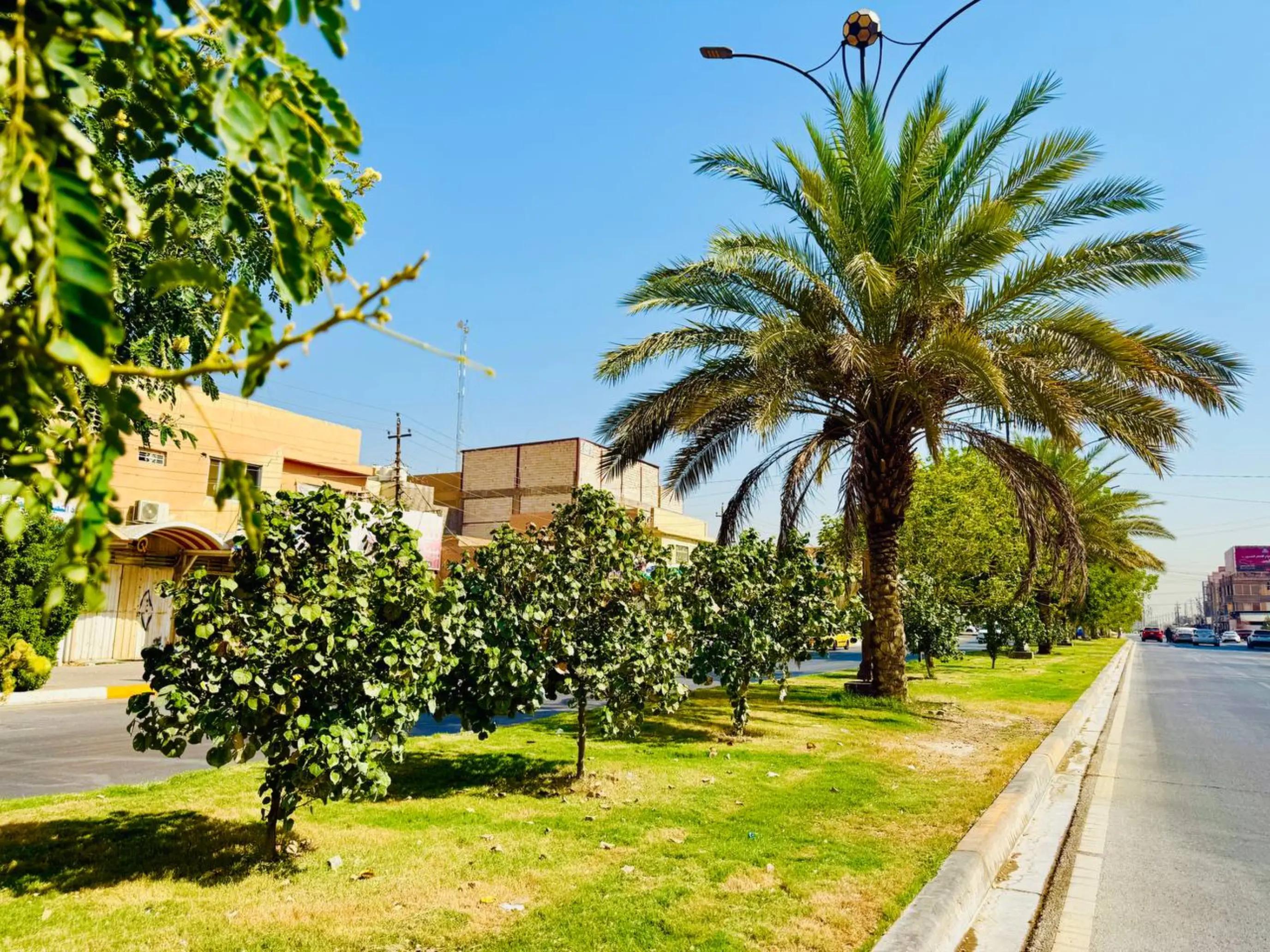 @بلدية كربلاء