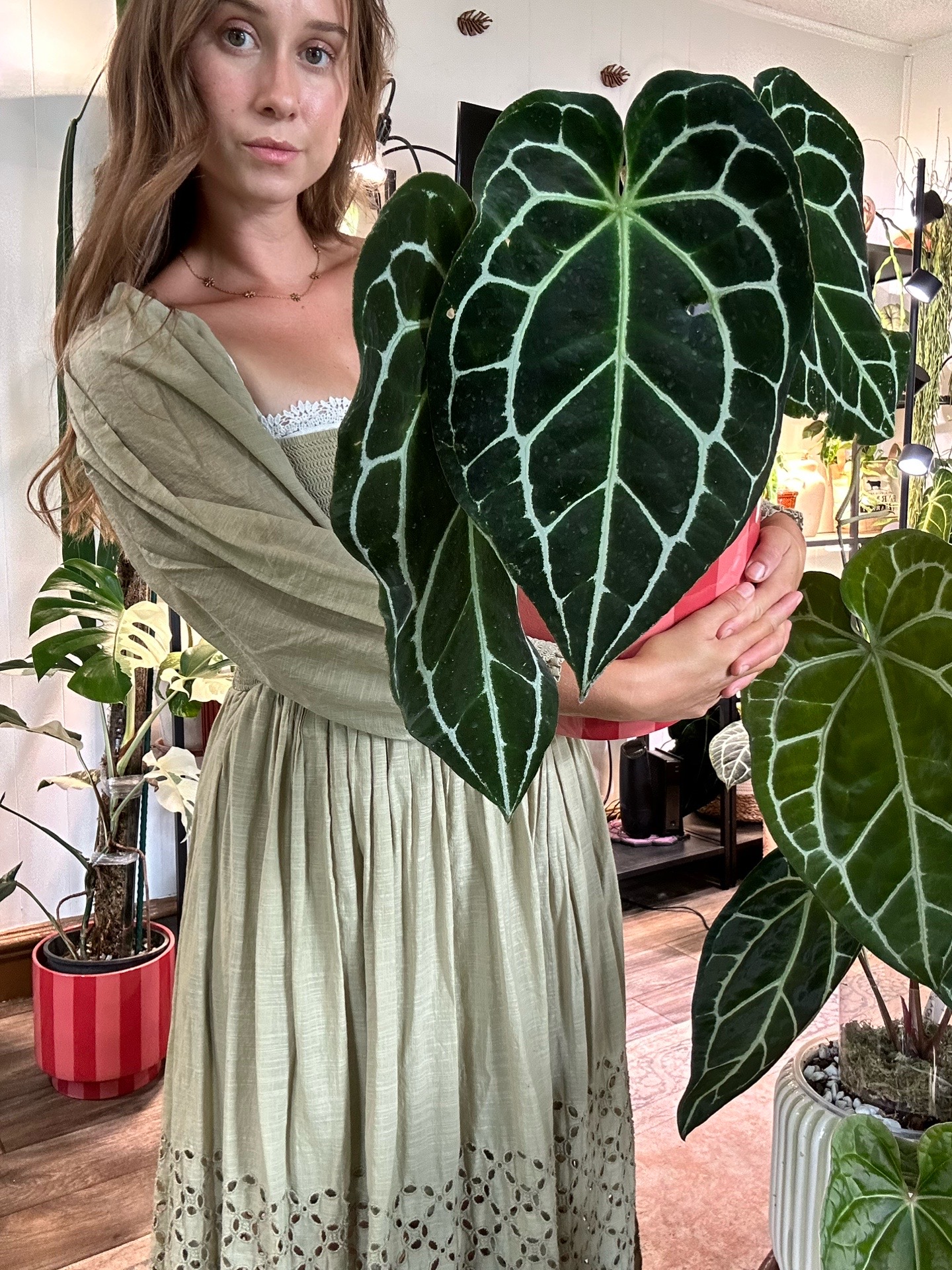 @theplantgirl_diaries