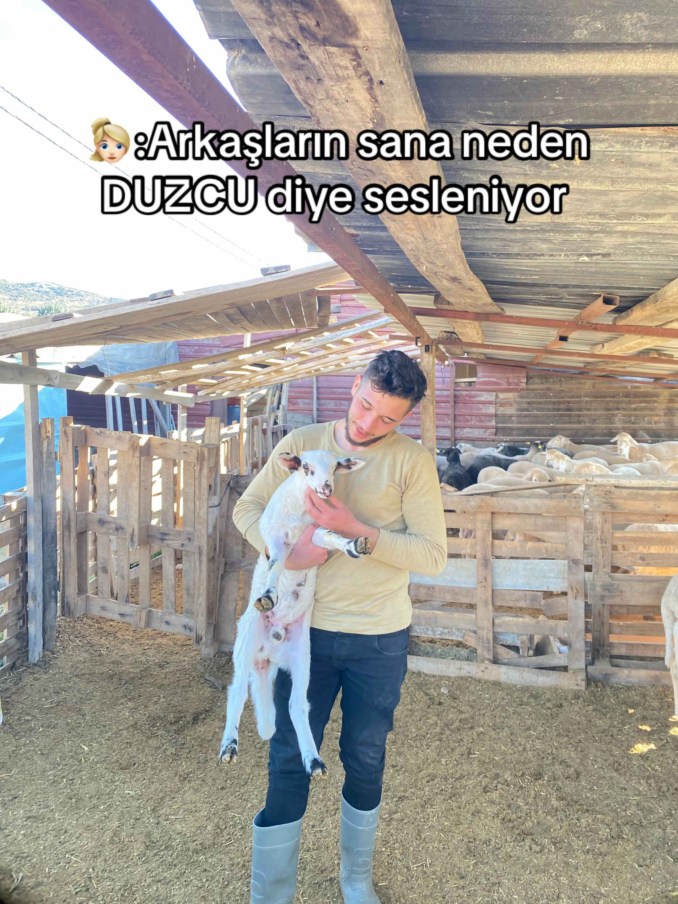 @sedat öztaş
