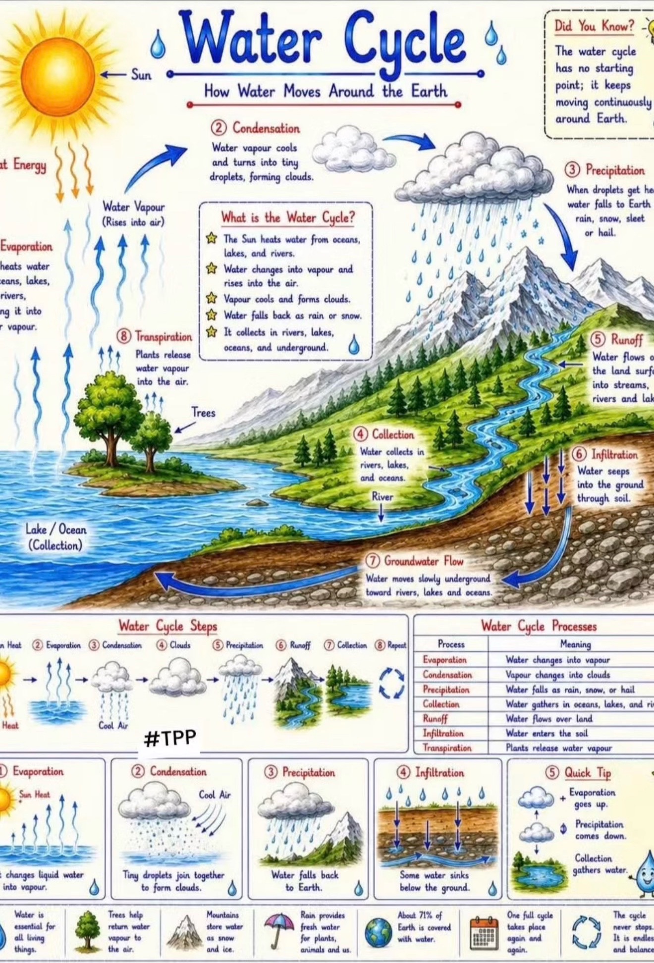 @SeanGAlperin.com