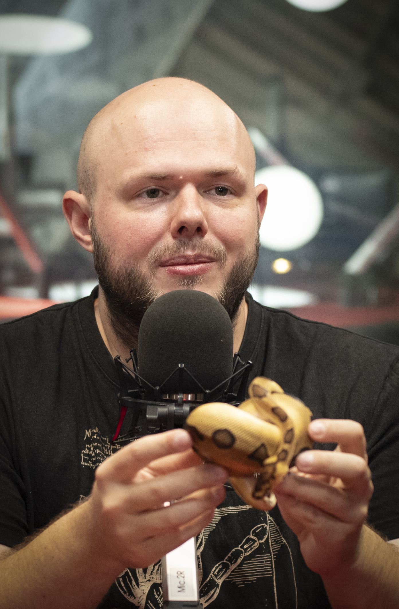 @Radio z Dolnego Śląska