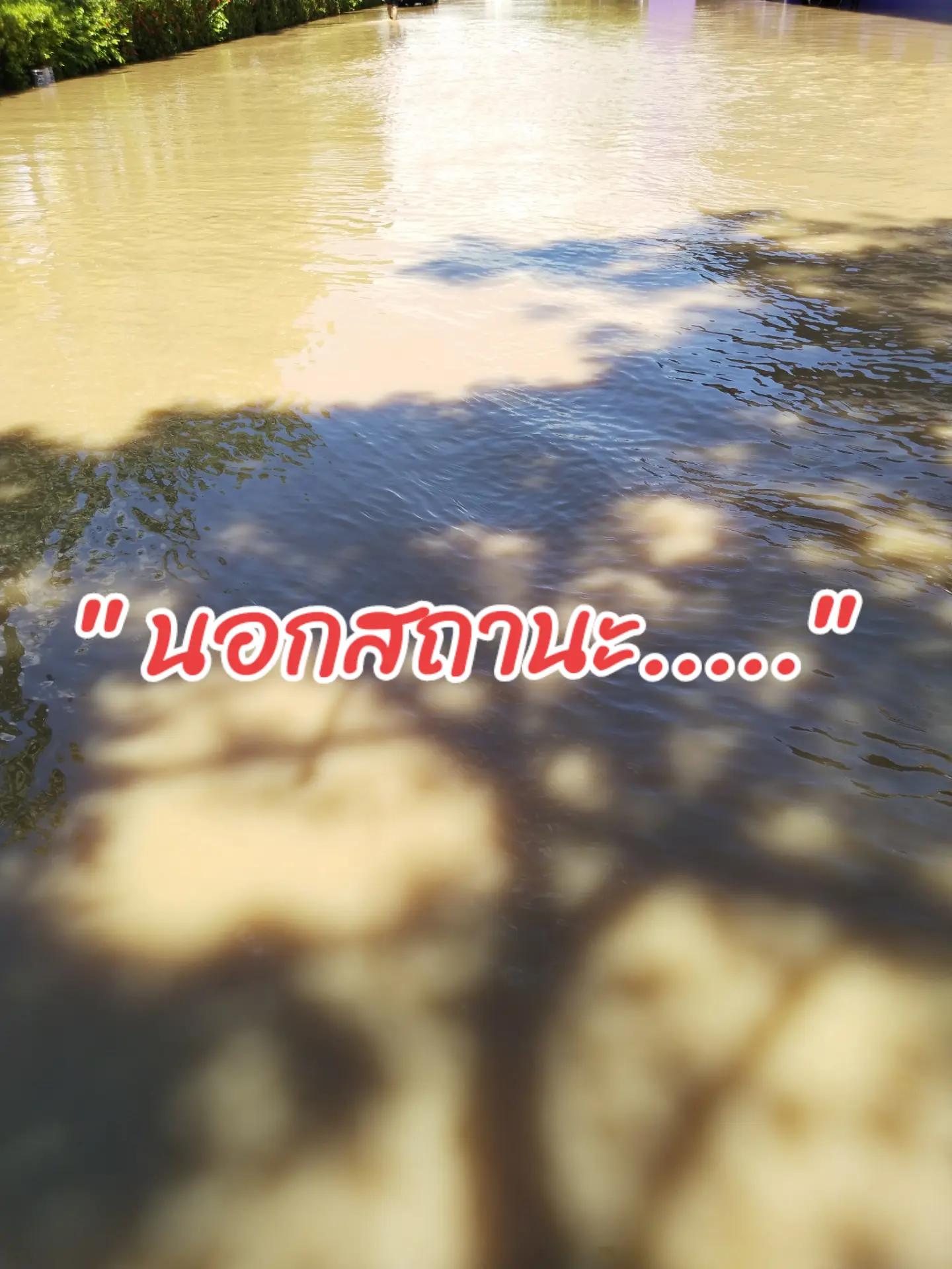 @นัท ✌️