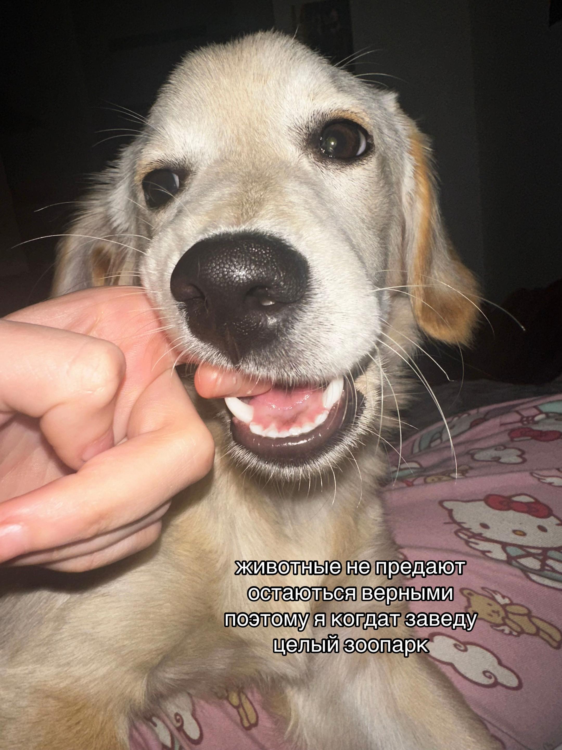 @ТГК:секта веры в настю