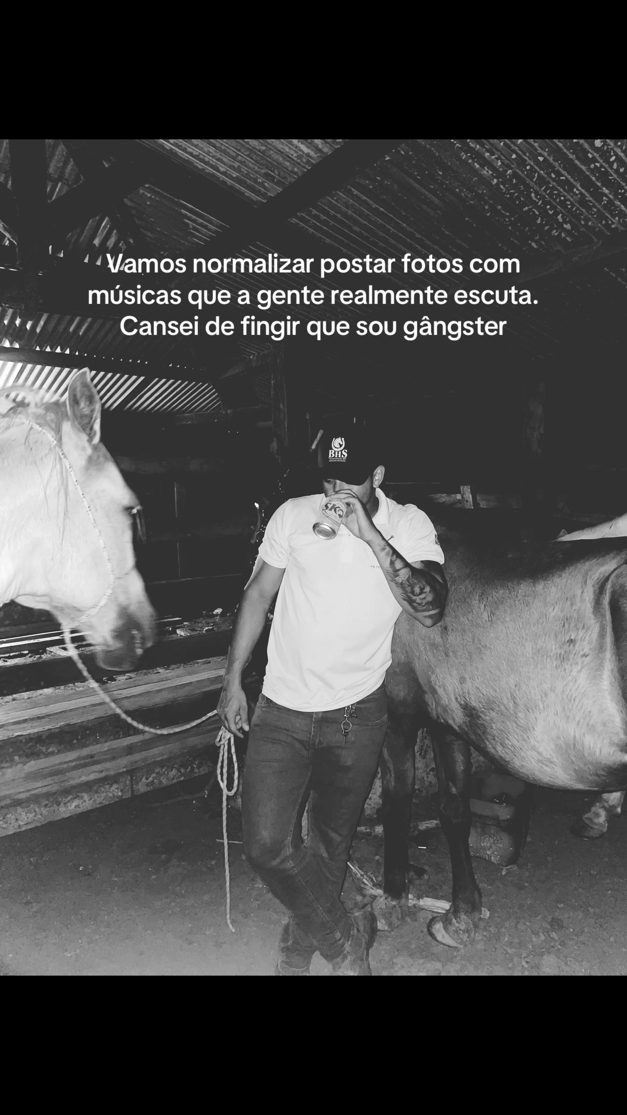 @João Freitas