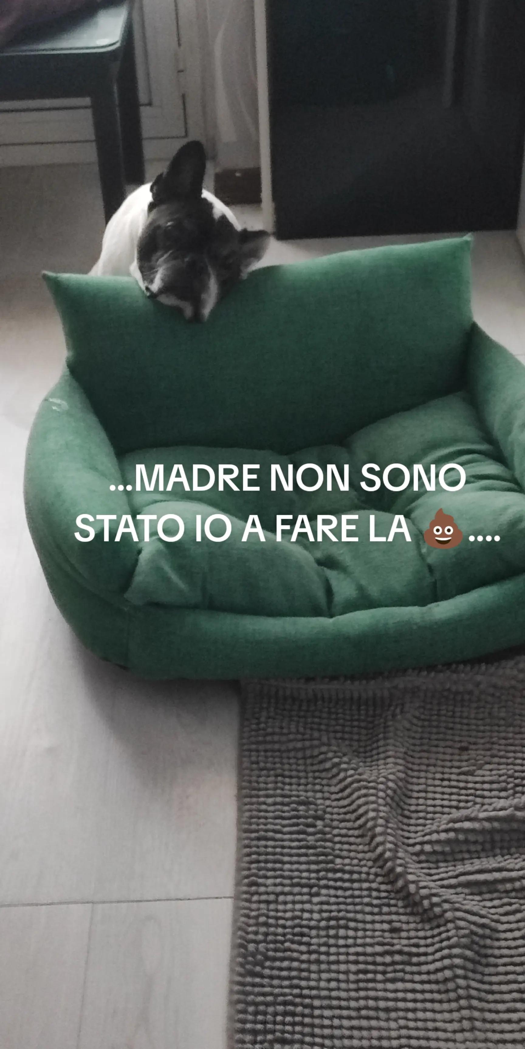 @Barbara Pisoni