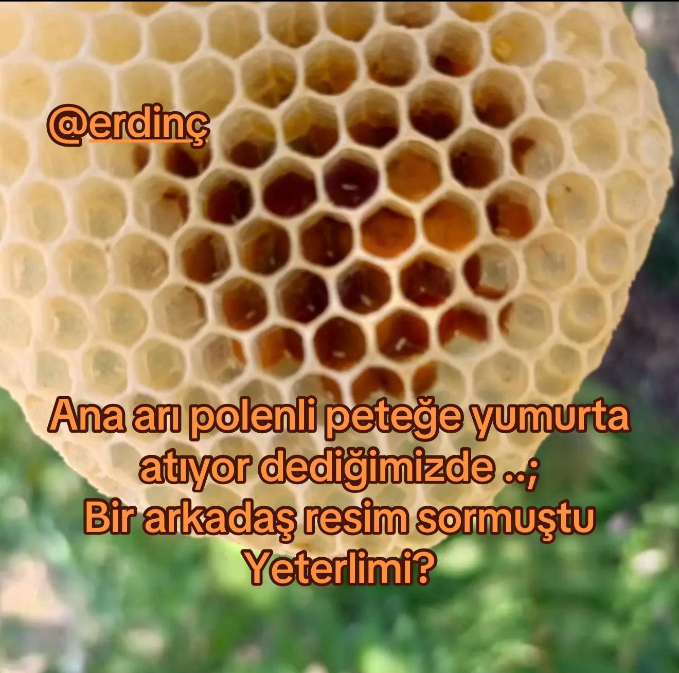 @Vizztanbul Faruk