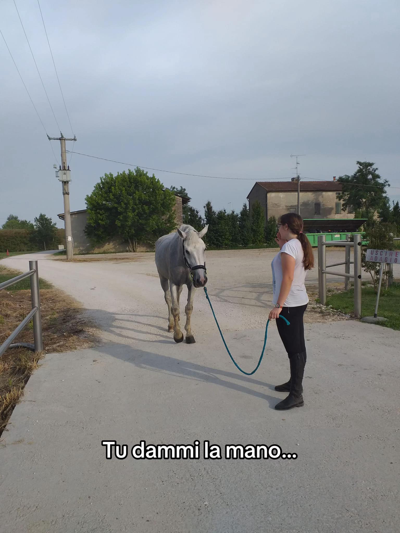 @Marta 🐴