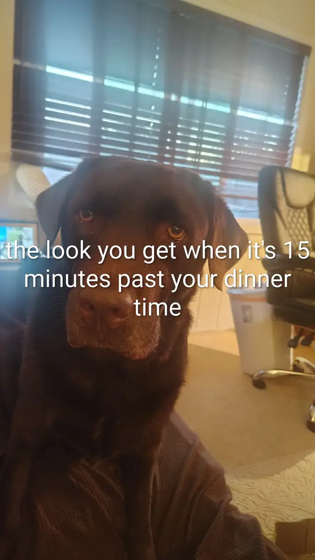 @johnegan562