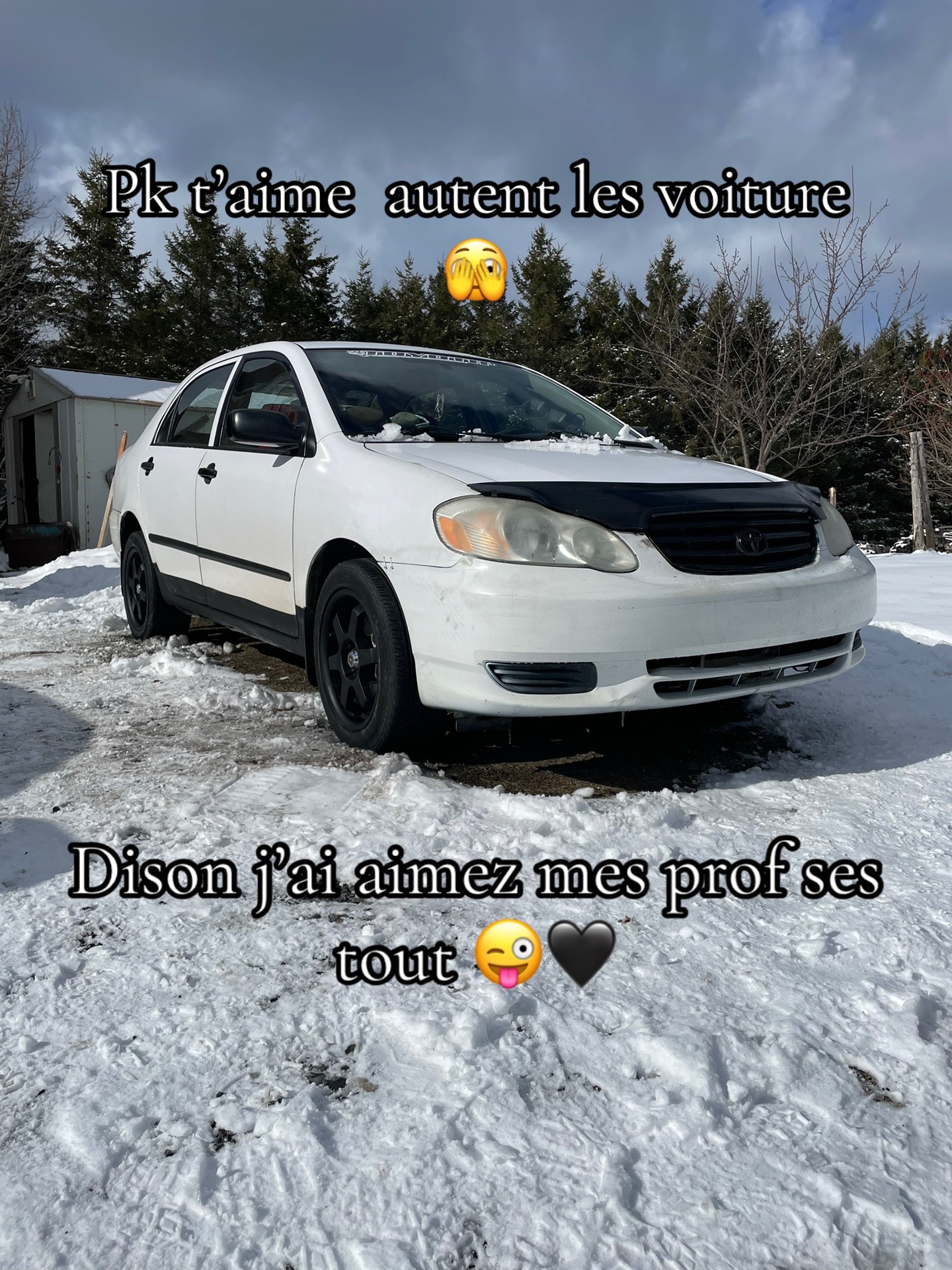 @☆ ⓅⓊⓃⓀⓎ ⒷⓄⓎ ☆