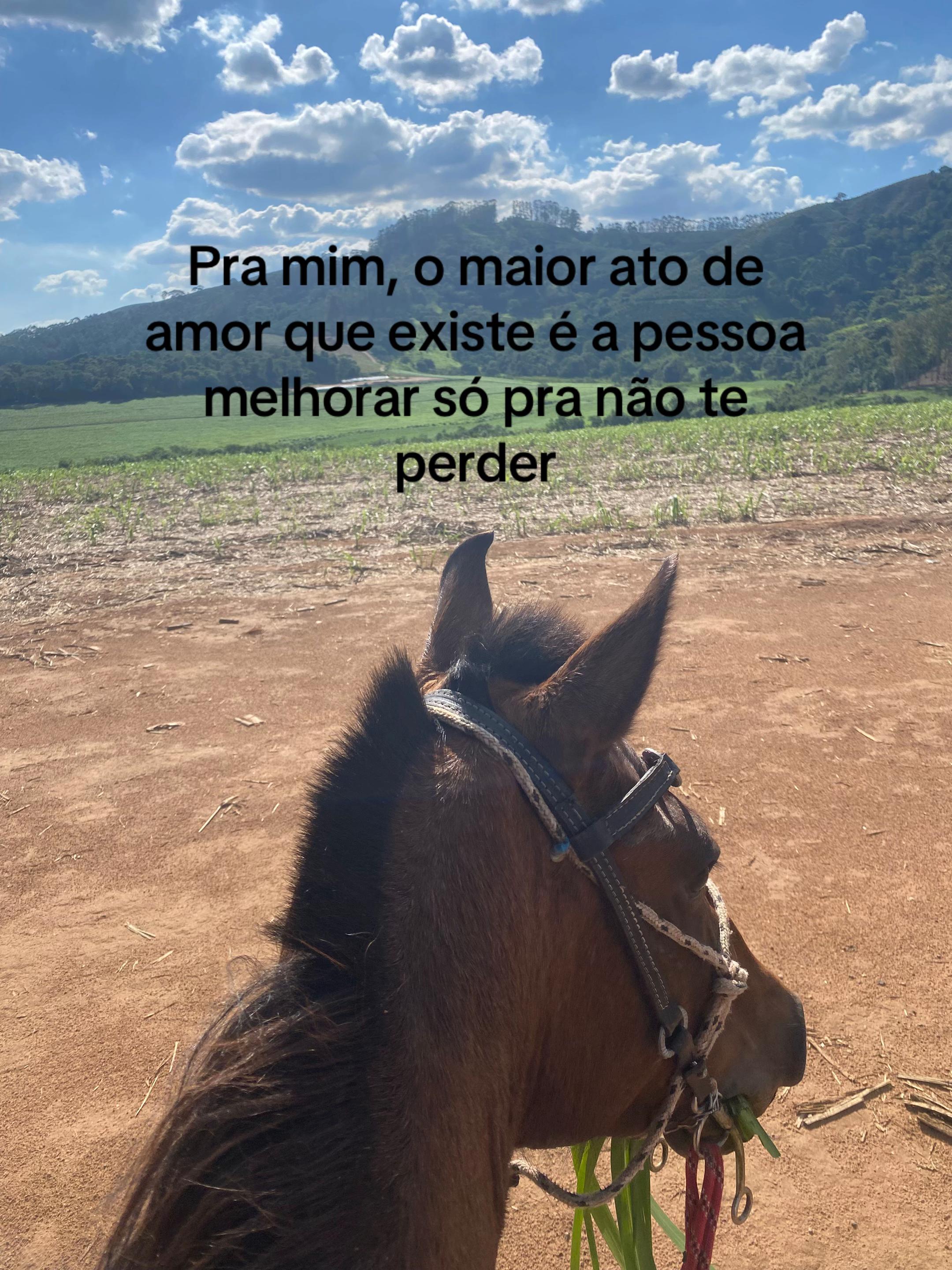 @Isabela Luísa Silva Sousa
