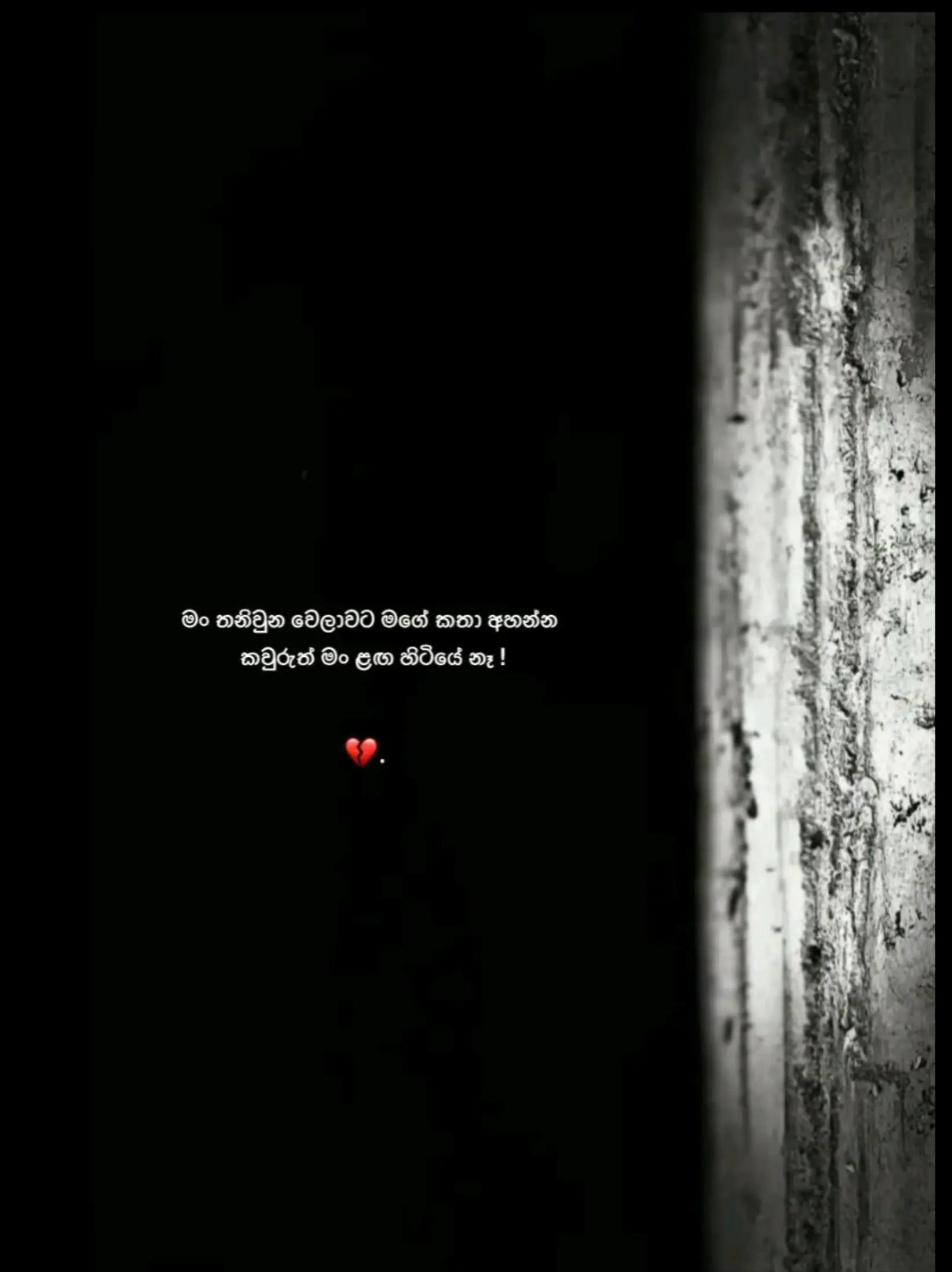 @𝙎𝗮𝗰𝗵𝗶┃සචි 〲 🩸🍃