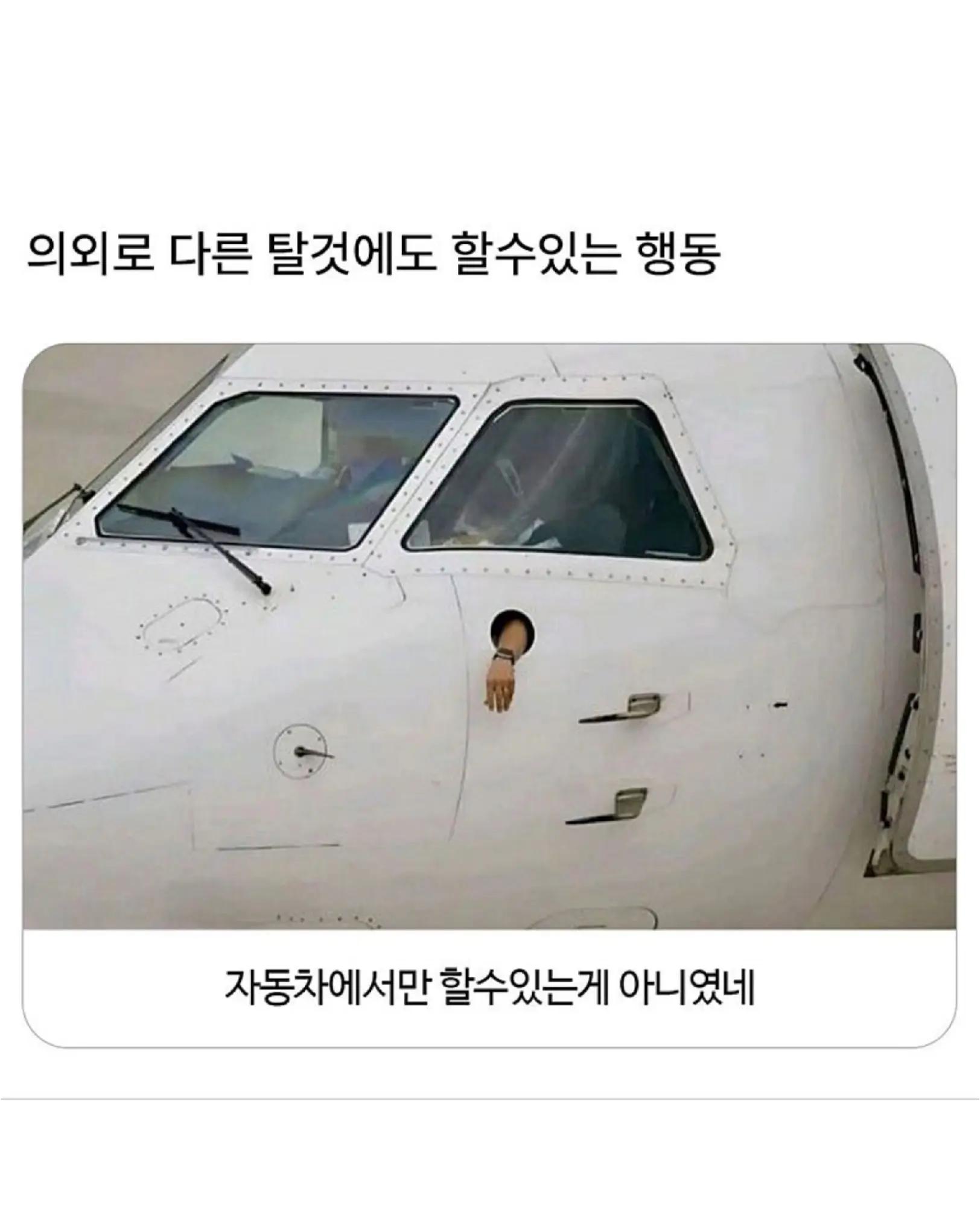 @로이젤