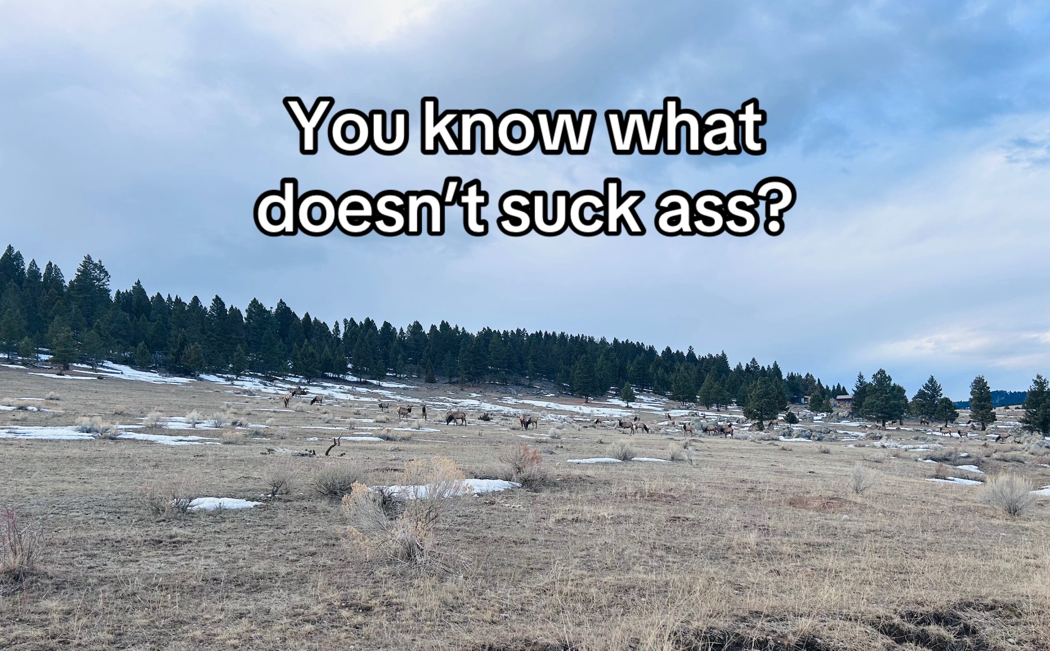 @Nina Snowdon