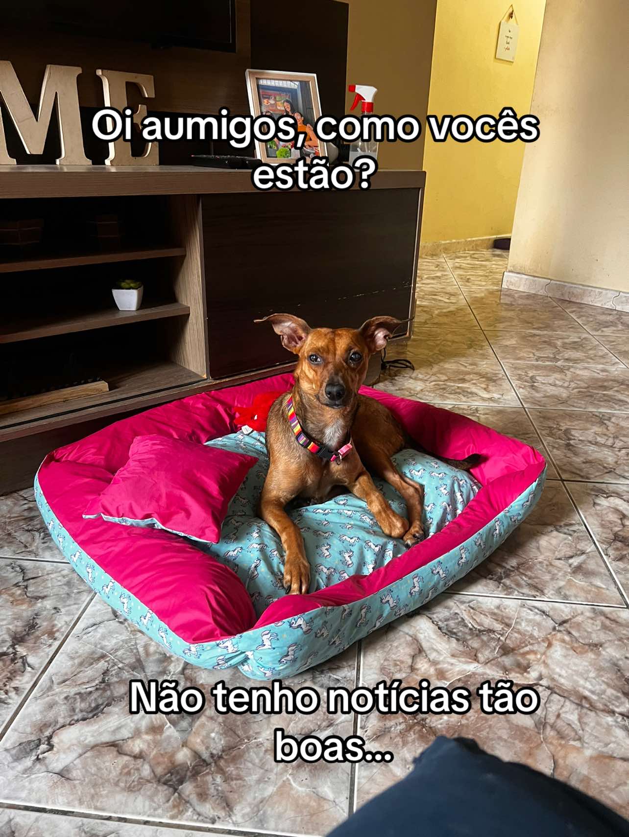 @Lua