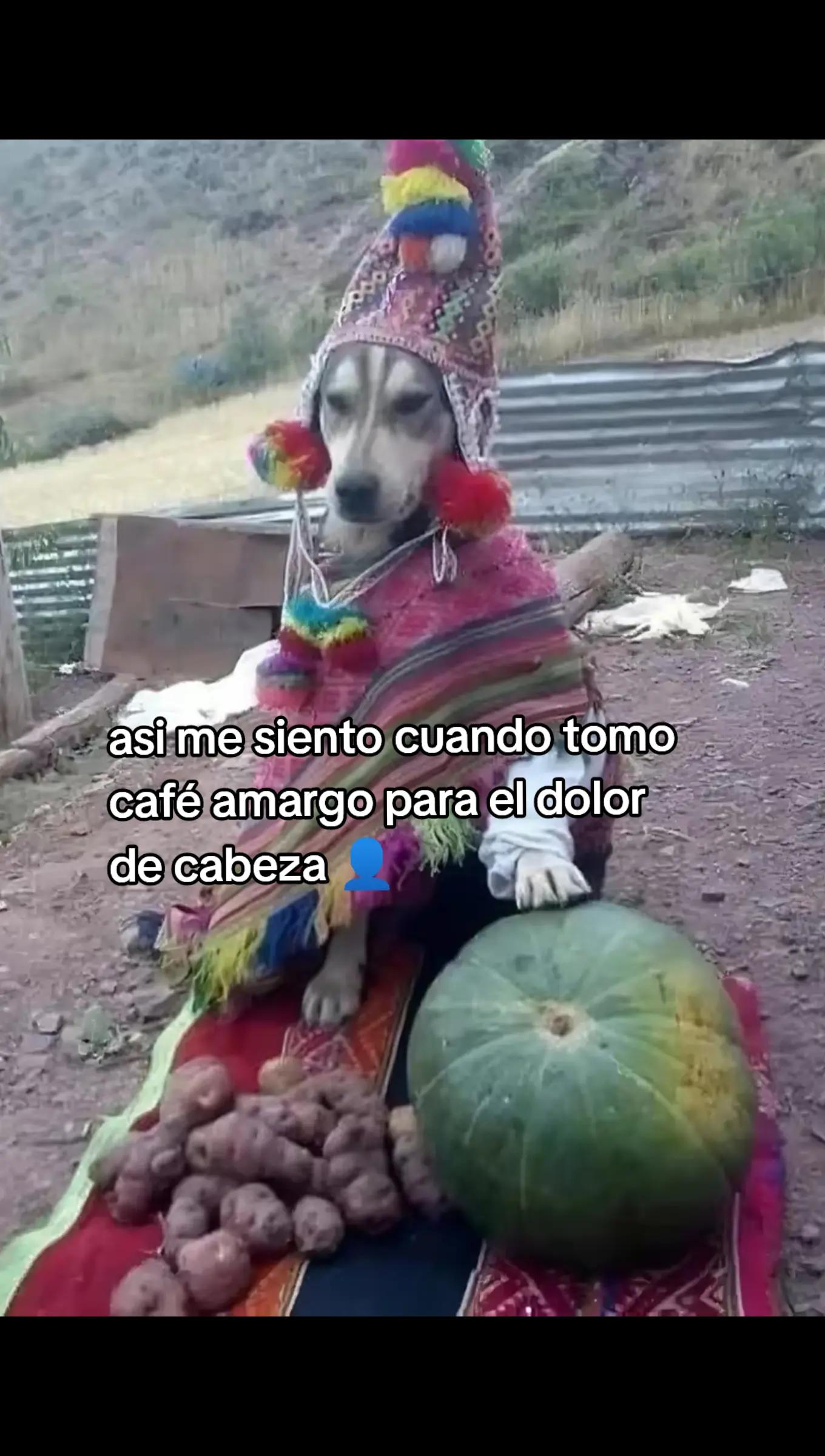 @°MORÁN°