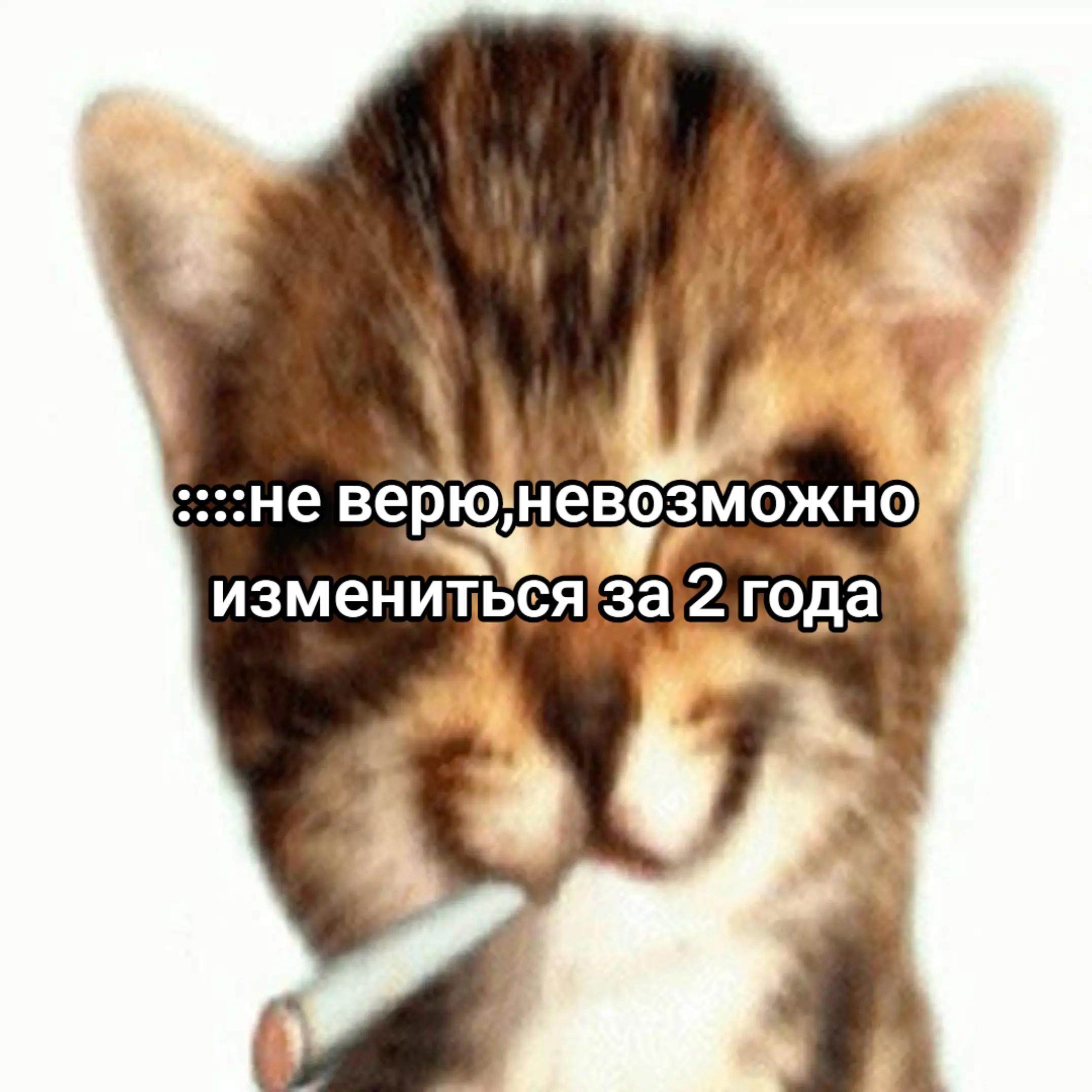 @расческа🌿🌿🌿