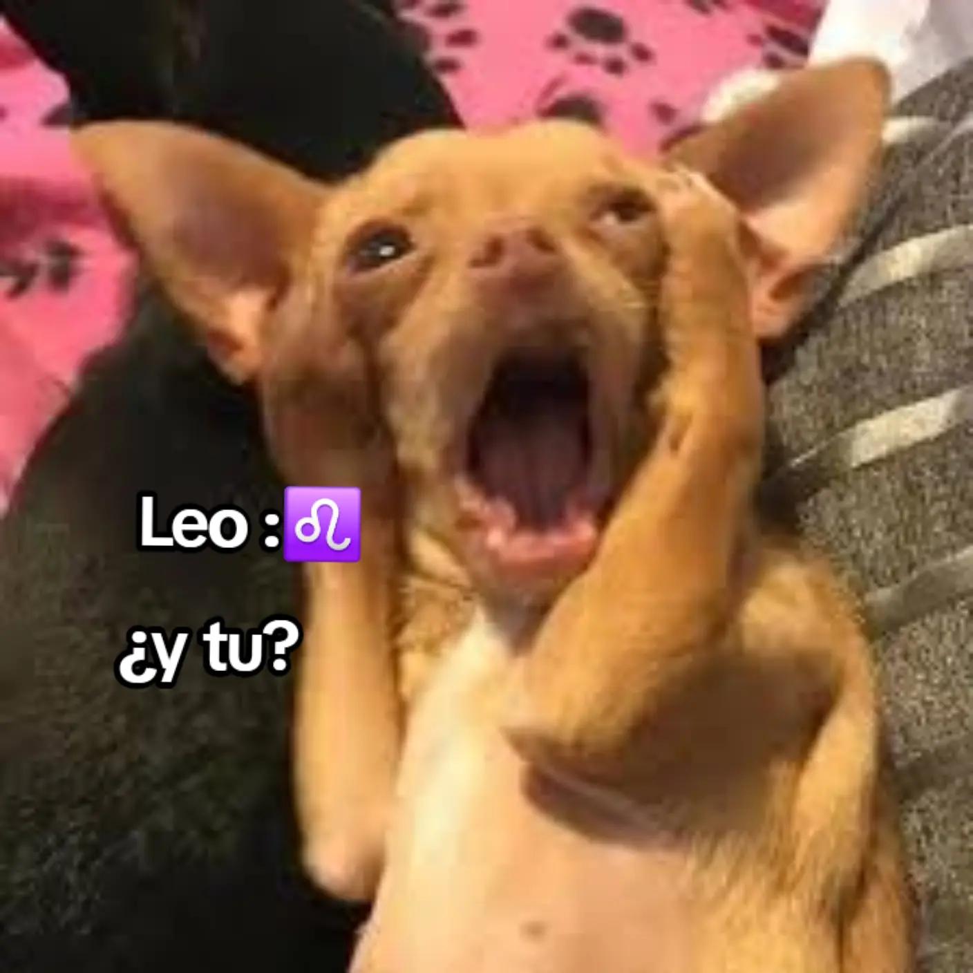 @Flaca