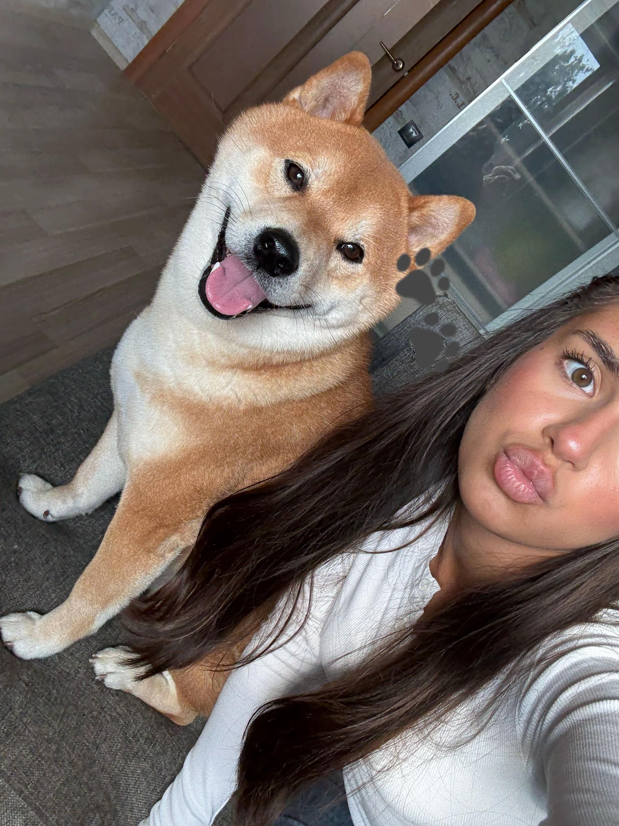 @sssfskjvvvv