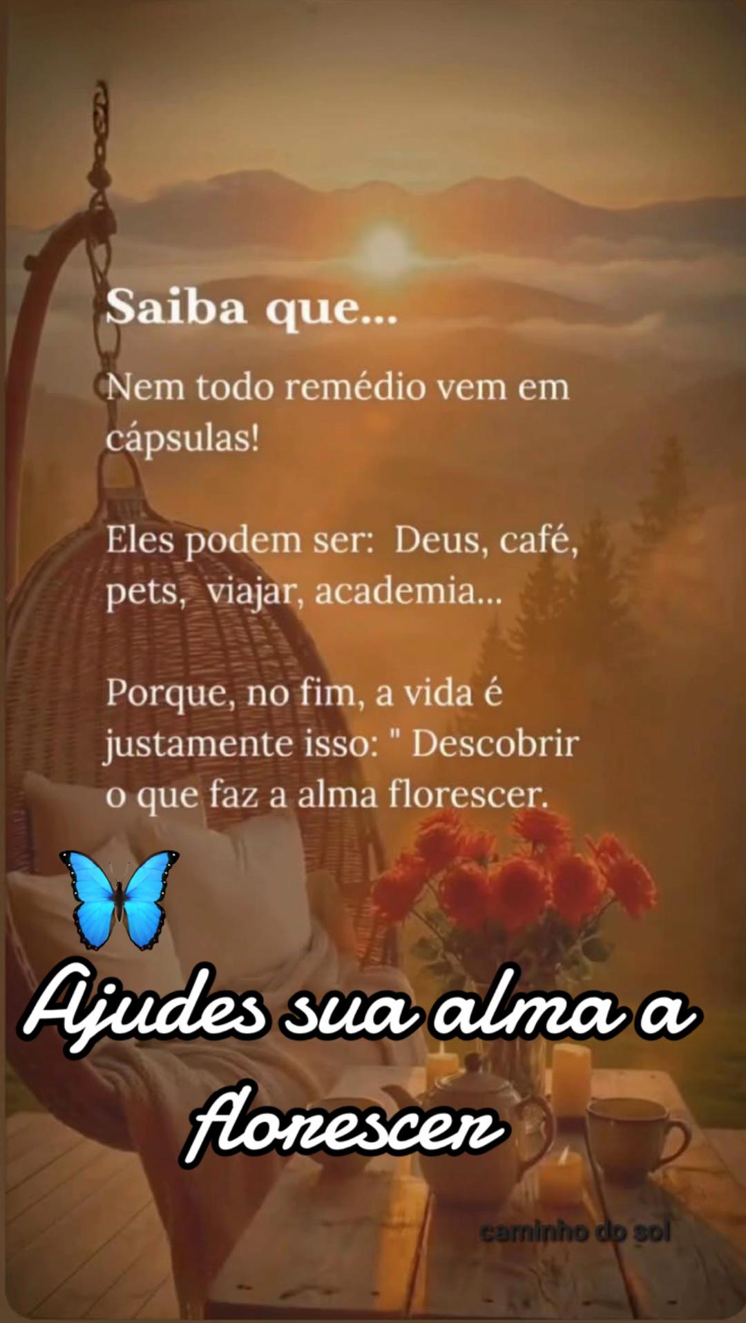 @borboleta2867