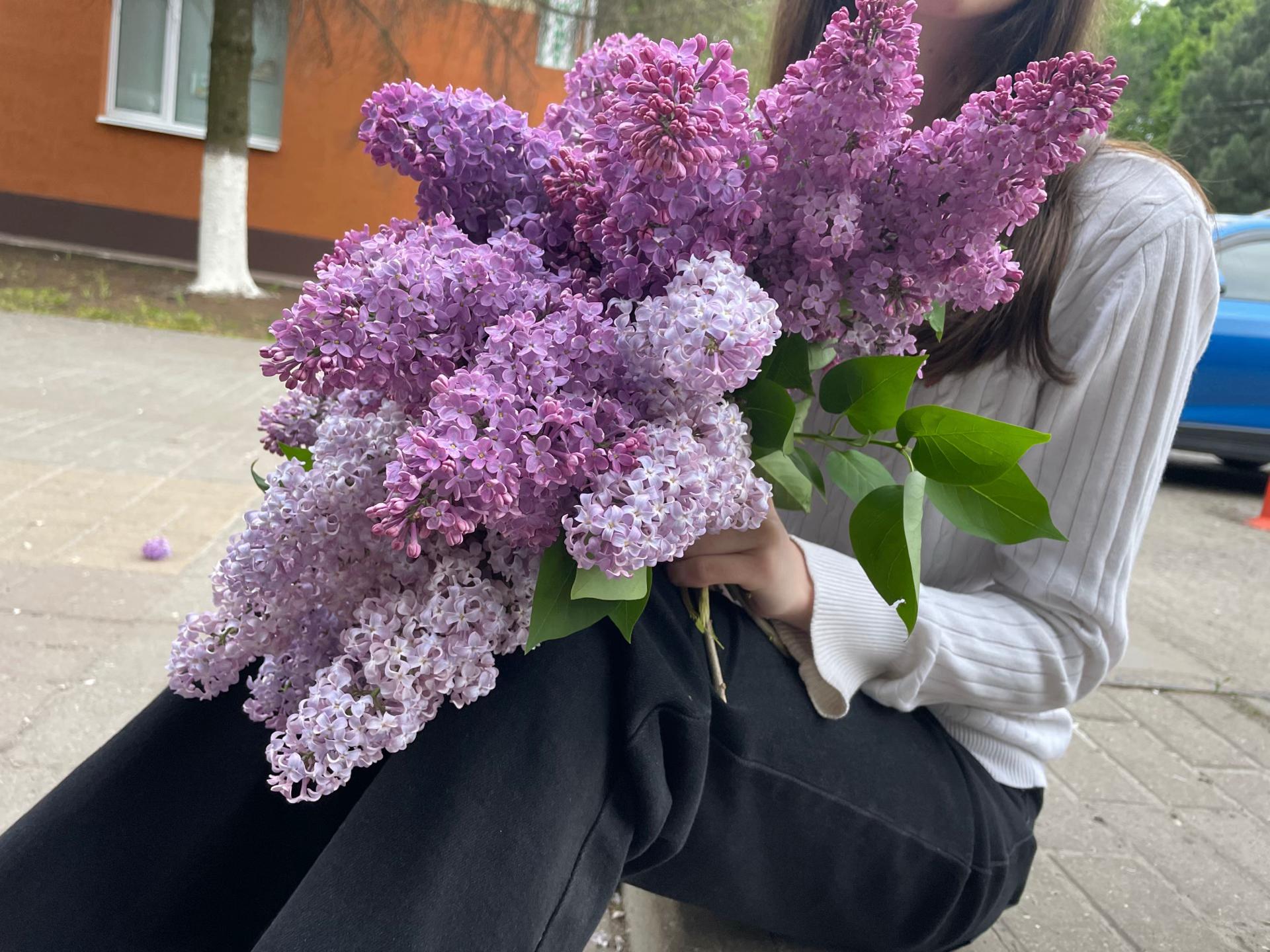 @ТГК: да не милана я