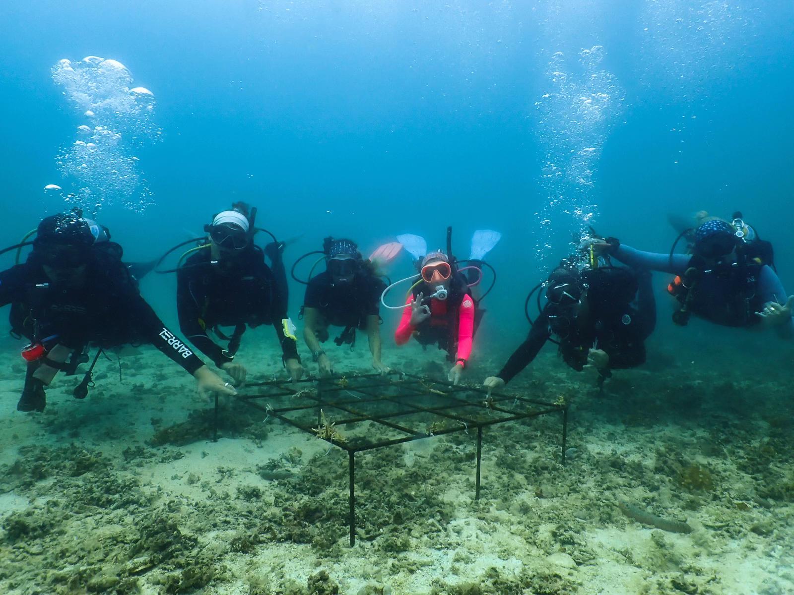 @Buddha View Dive Centre