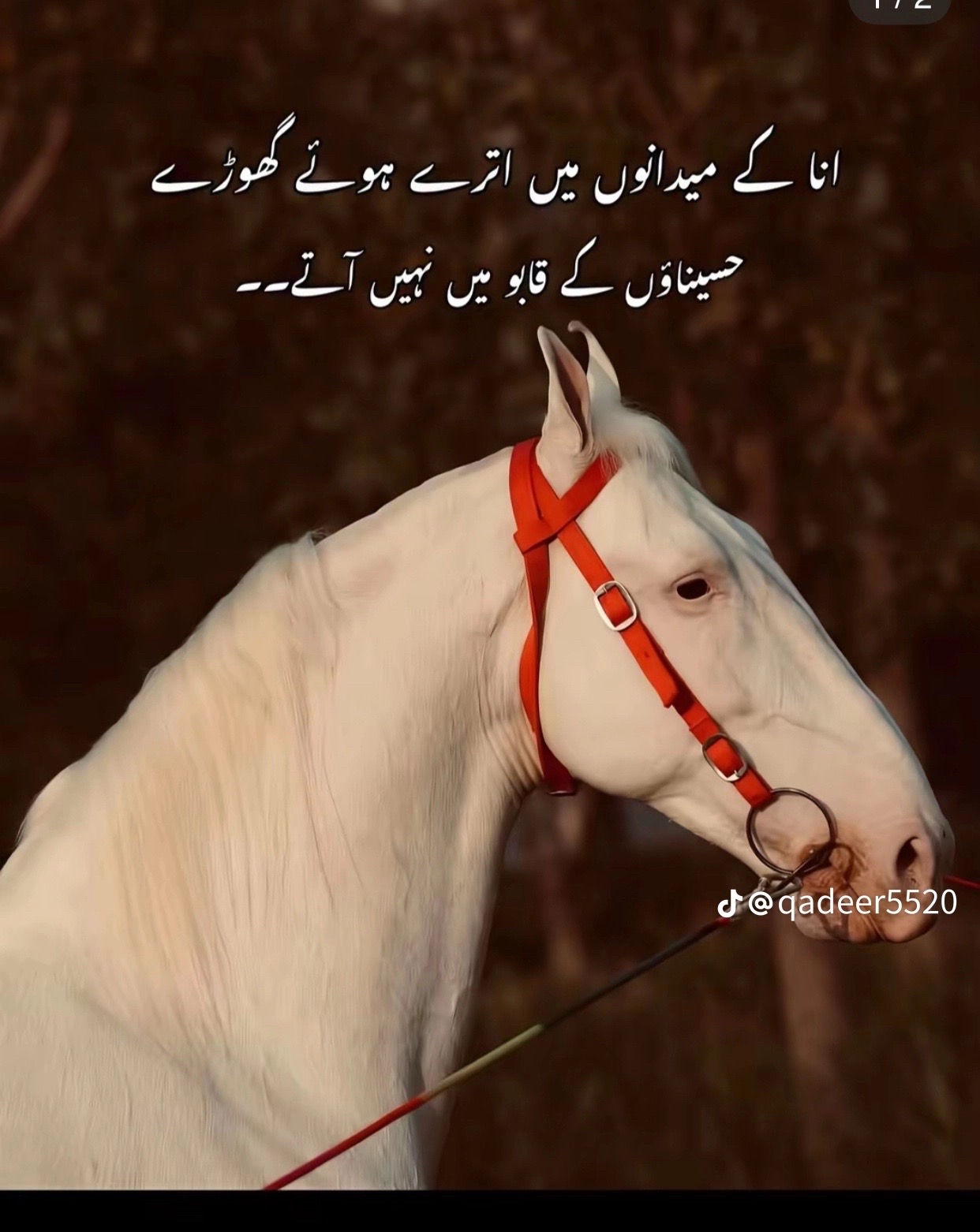 @Rai Kashif 🇵🇰🇧🇭