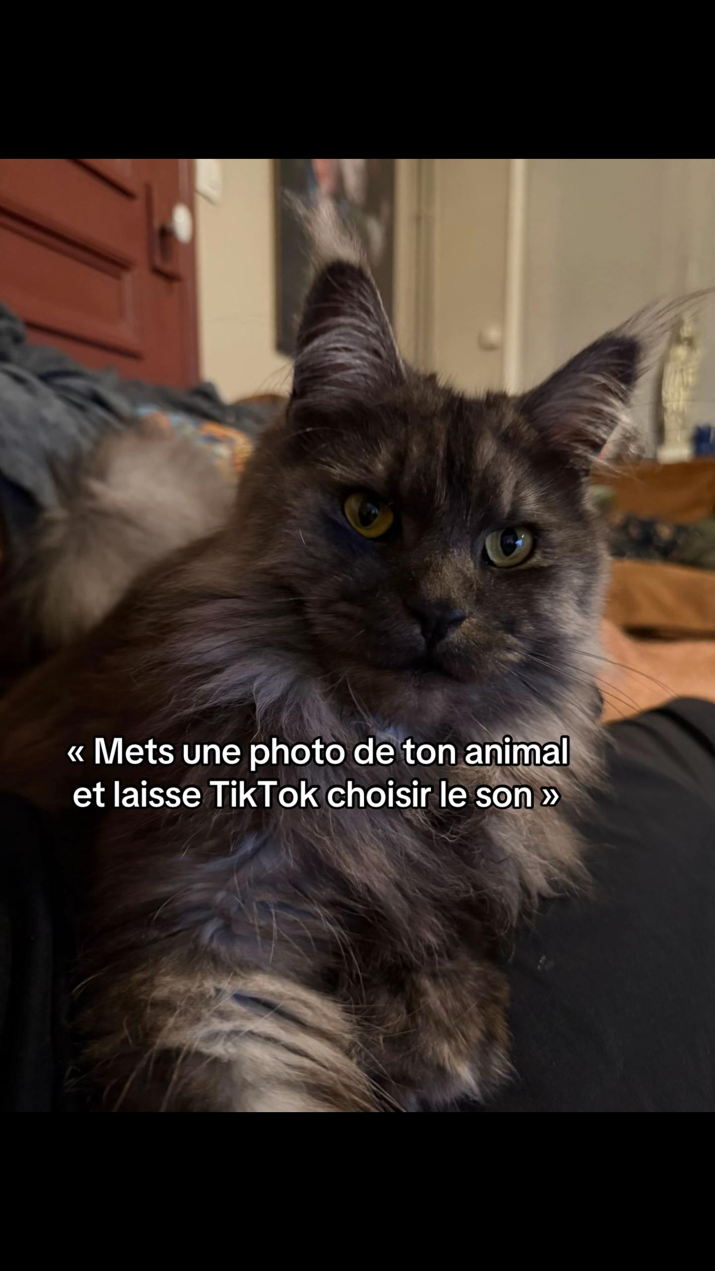 @PZK_OFFICIEL