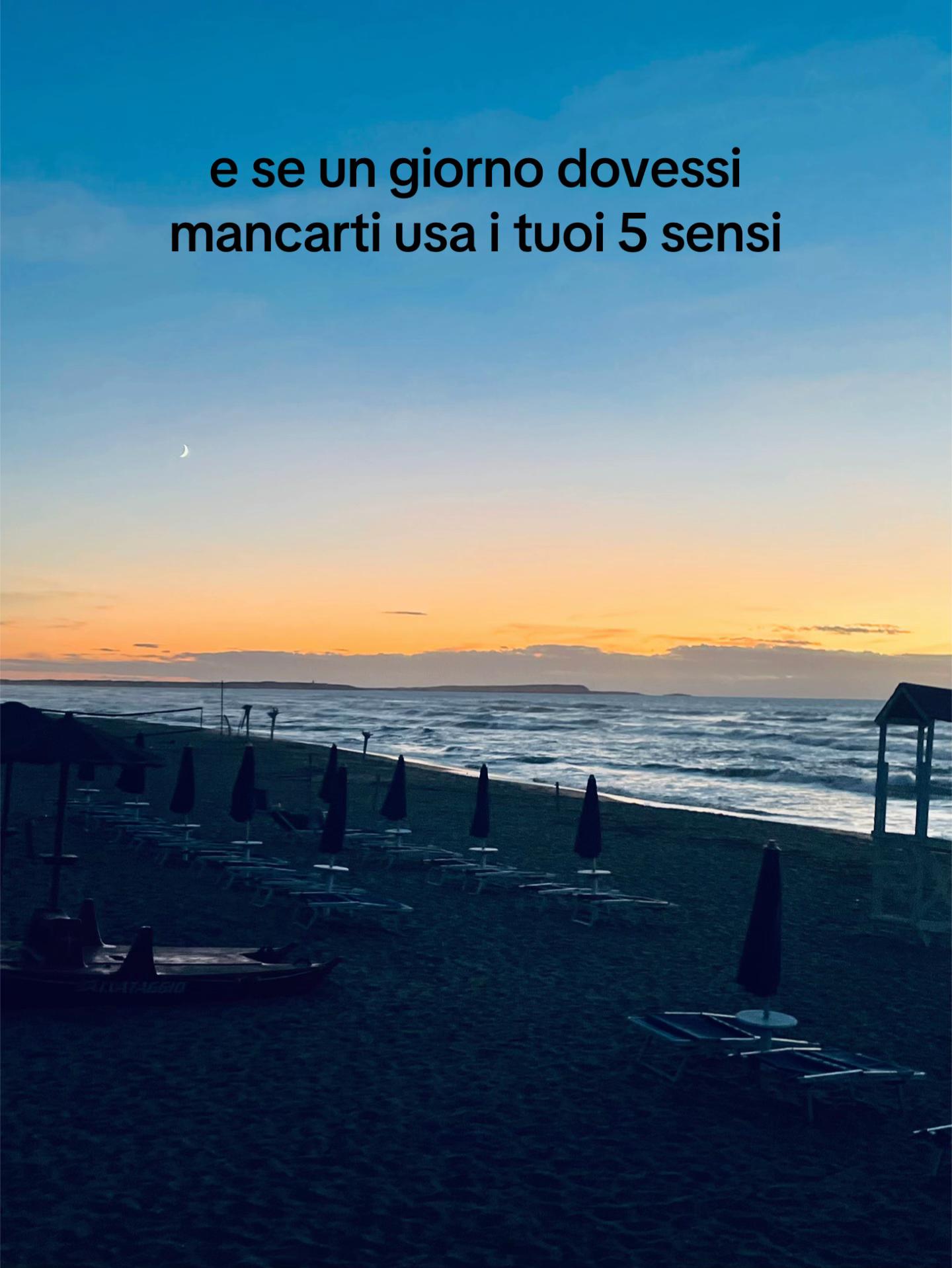 @lotta