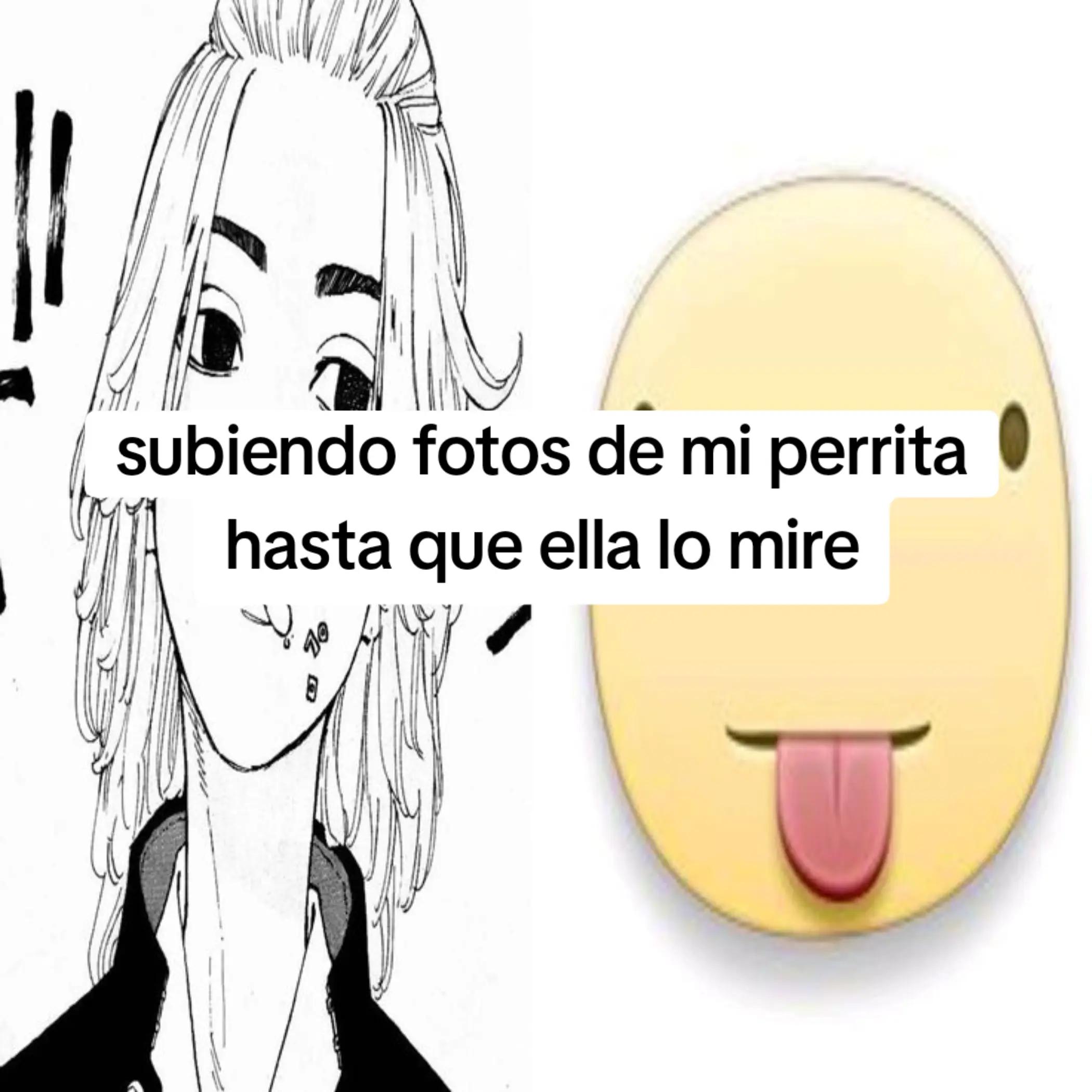 @matsu ⋆˖ ࣪⭑ˊˎ-