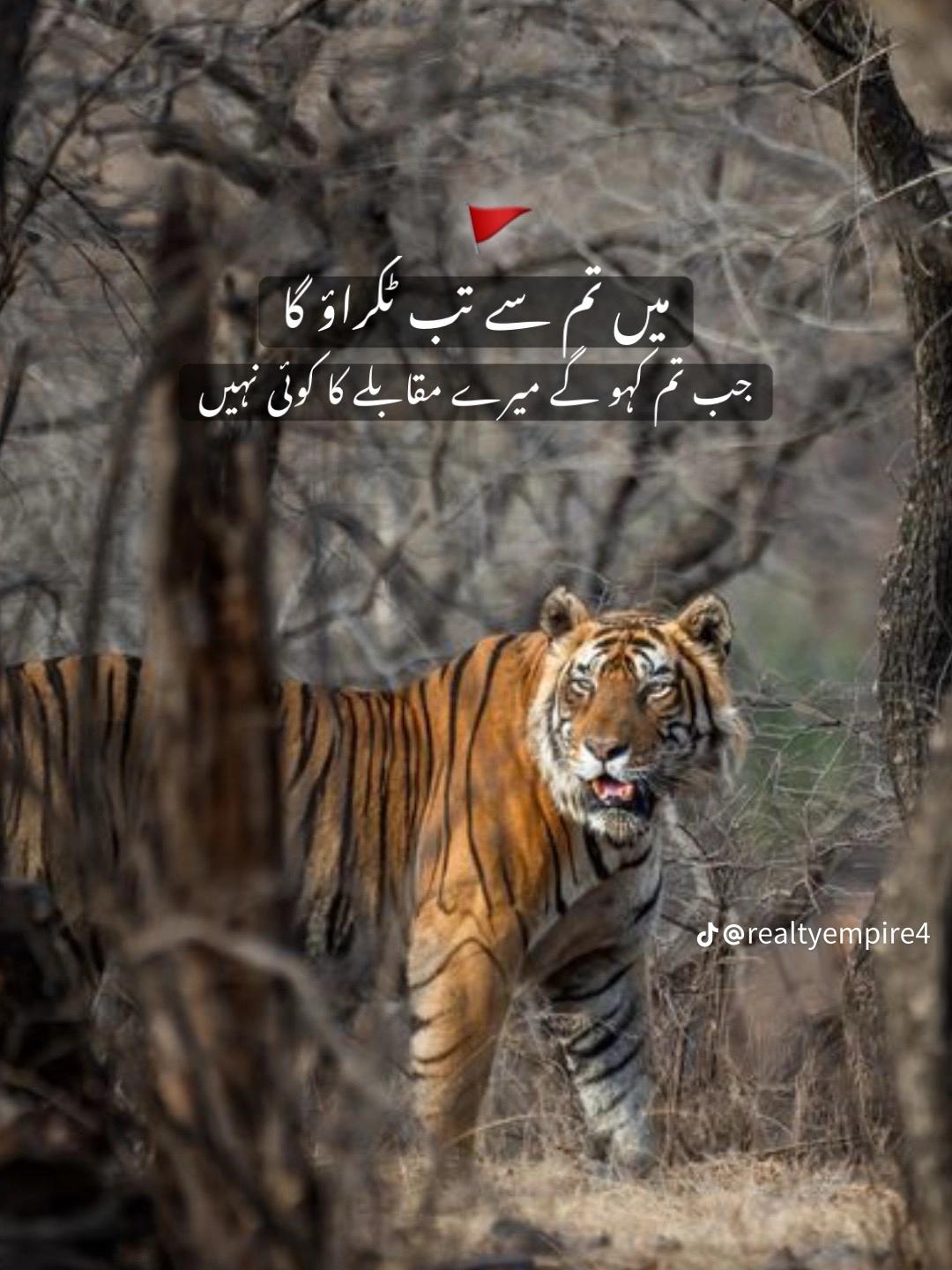 @Naveed Mayo
