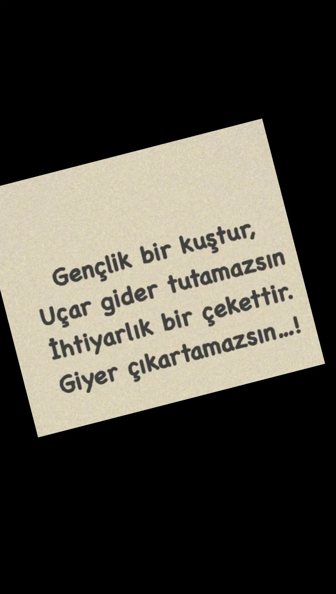@papatya