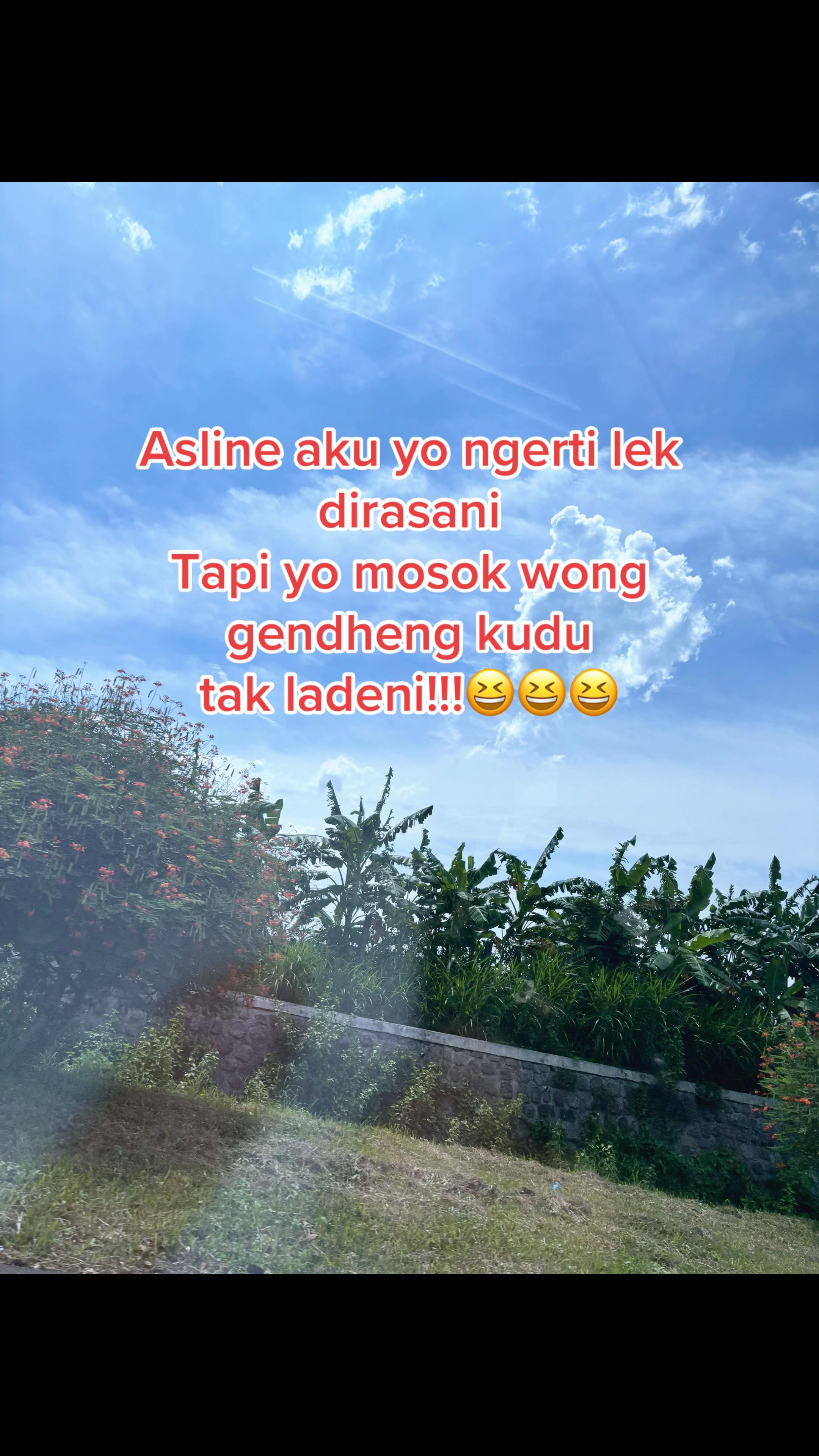 @Sandryna Lee